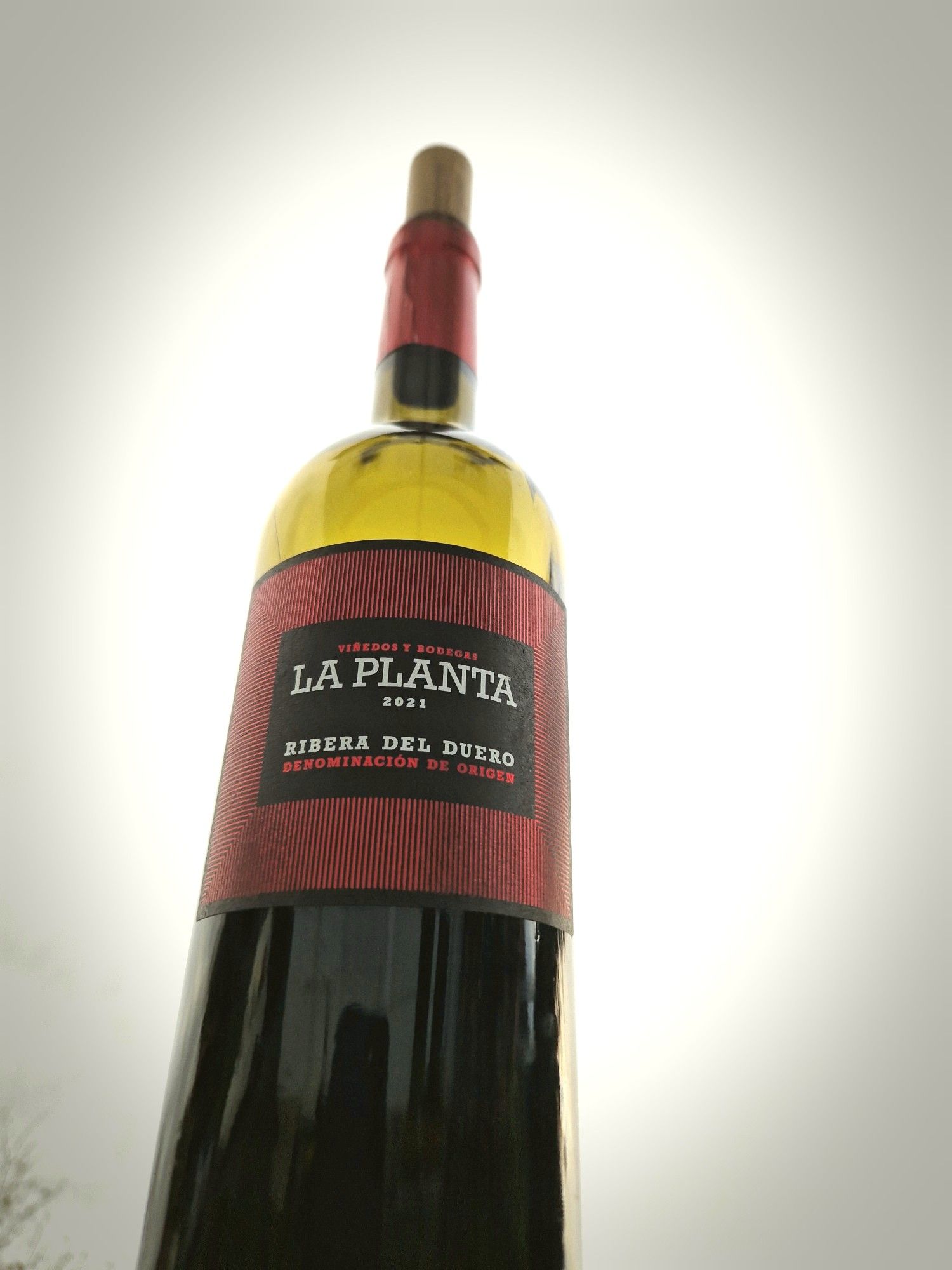 Ribera del Duero Tempranillo