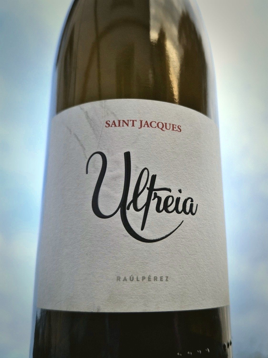 Mencía aus Bierzo