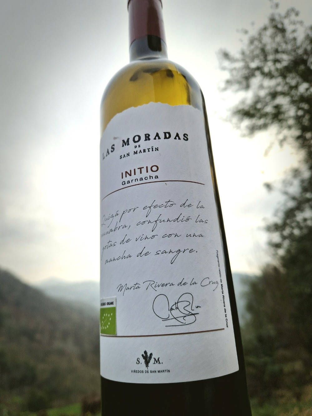 Rotwein aus Garnacha Tinta aus Madrid