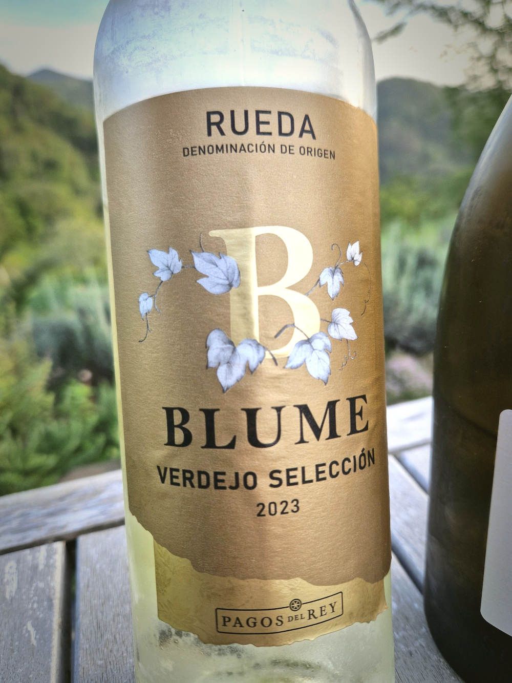 Eine Flasche Weißwein auf einem Terrassentisch