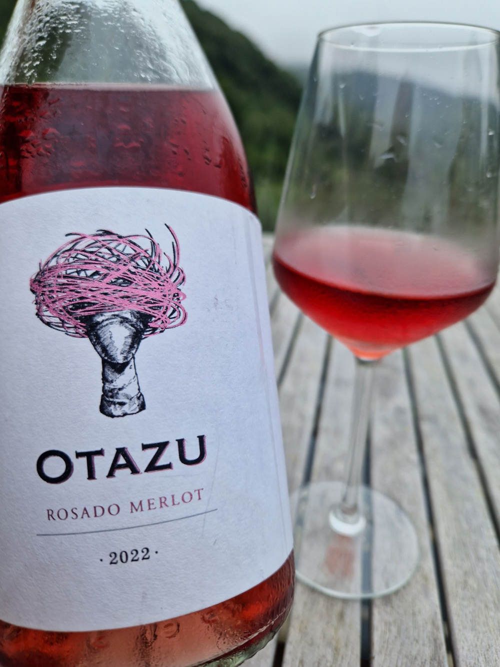 Eine Flasche Roséwein und ein halbvolles Glas auf einem Holztisch