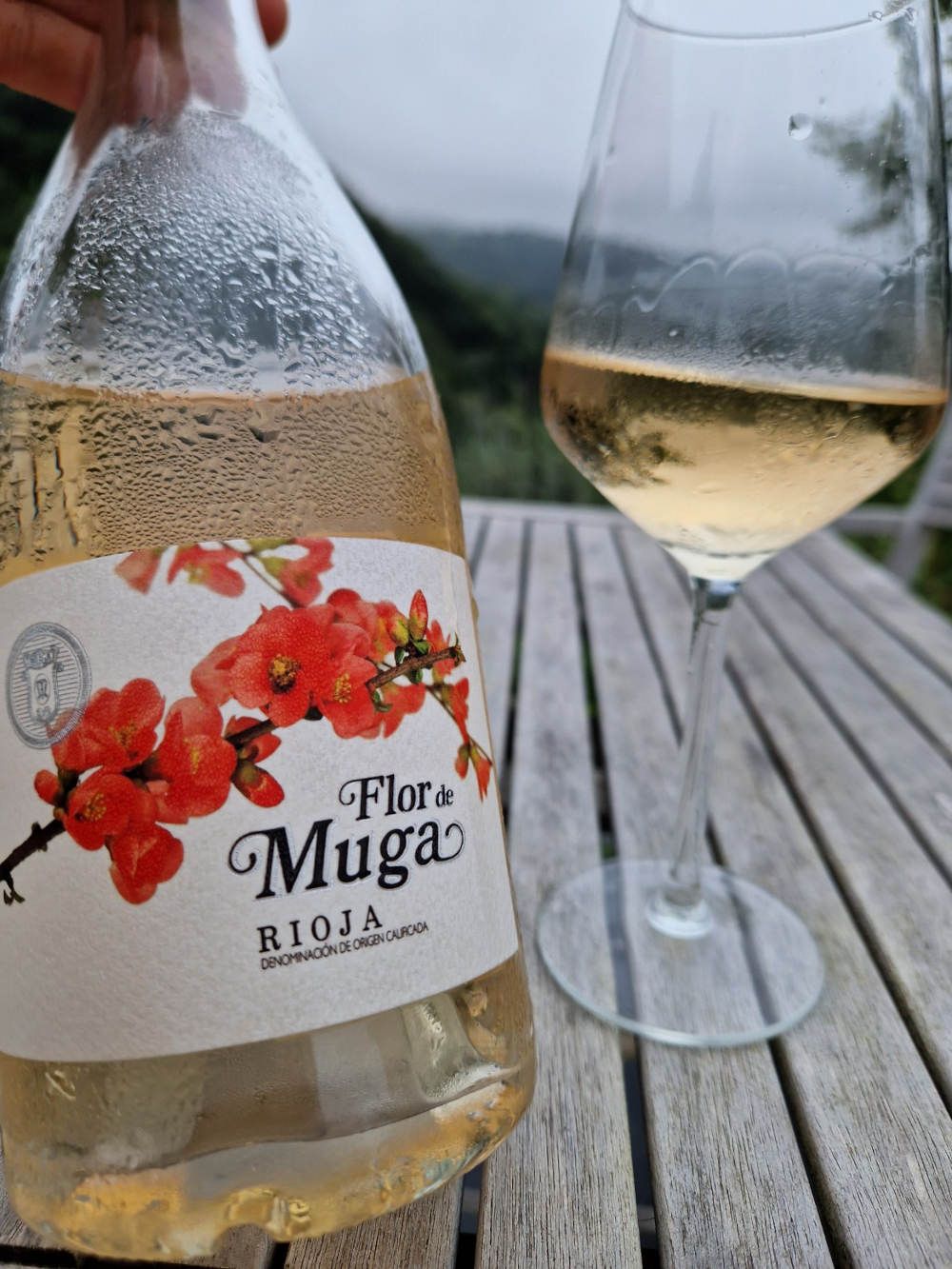 Eine Flasche Roséweine mit einem Glas im Hintergrund