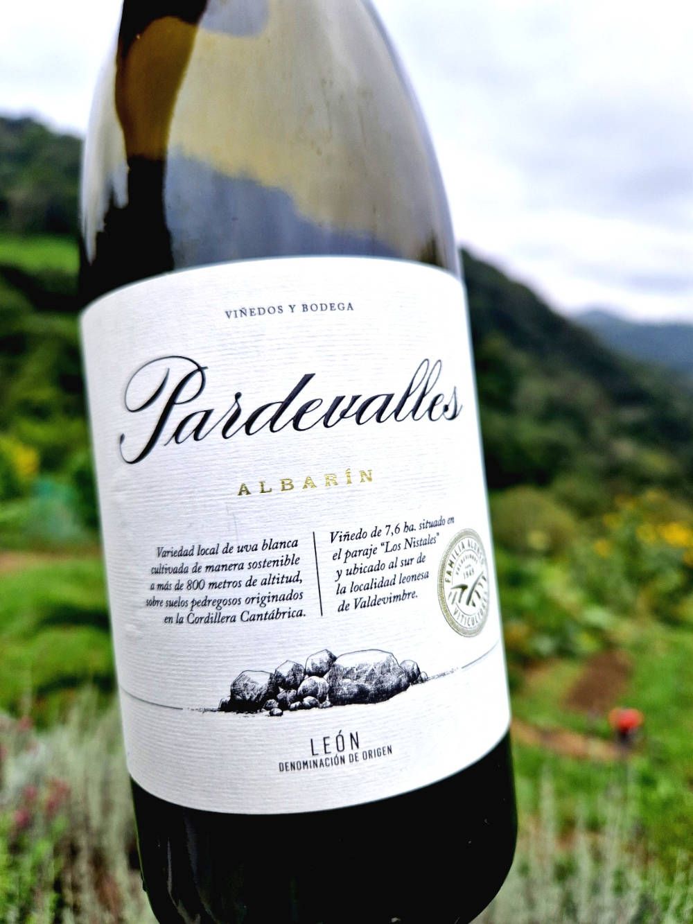 Ein Weißwein, im Hintergrund ein bewaldeter Hügel.