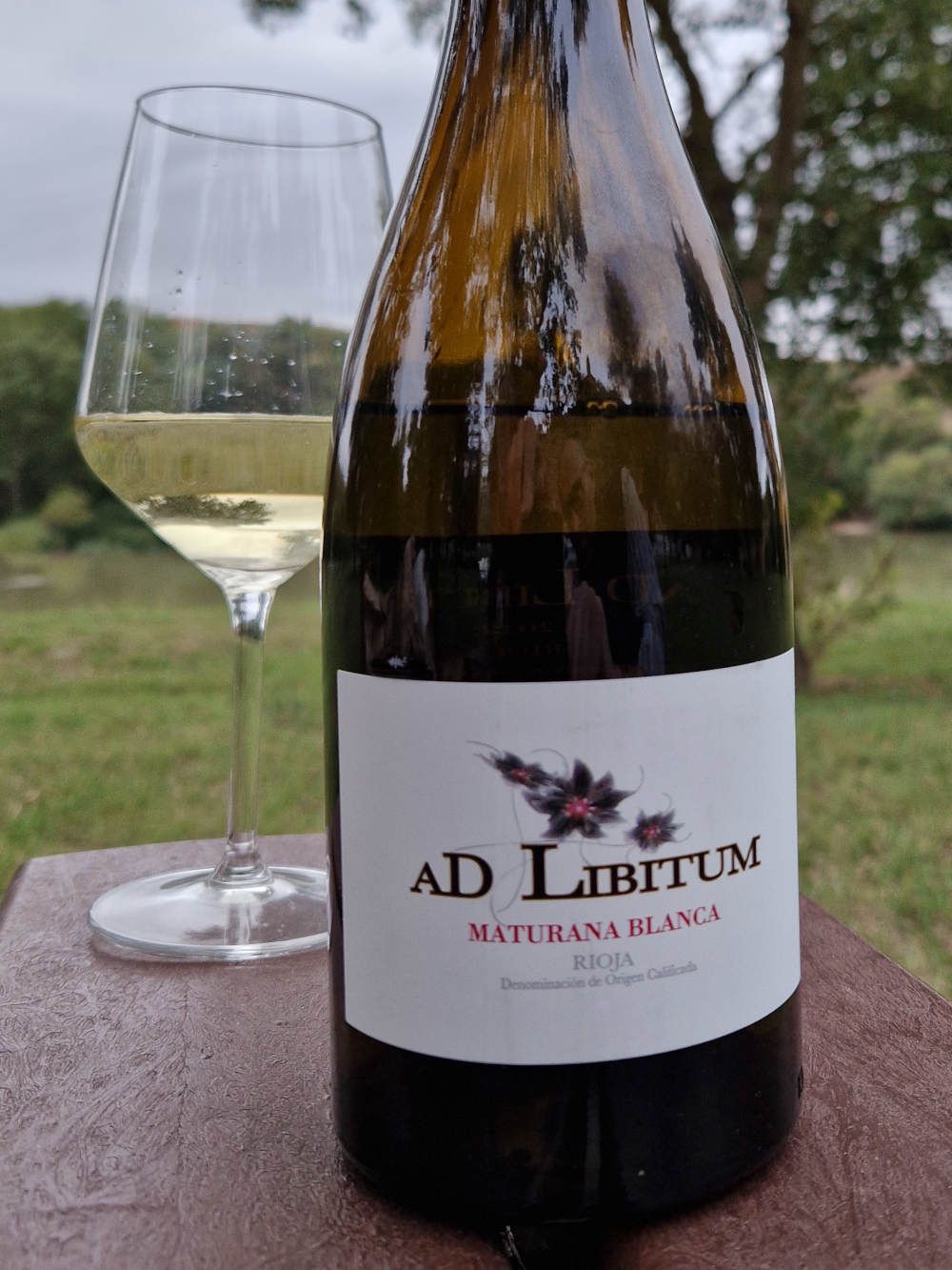 Eine Flasche Weißwein und ein halbvolles Glas auf einem Picknicktisch