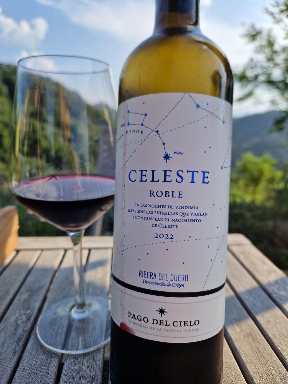 eine Flasche Rotwein auf einem Terrassentisch