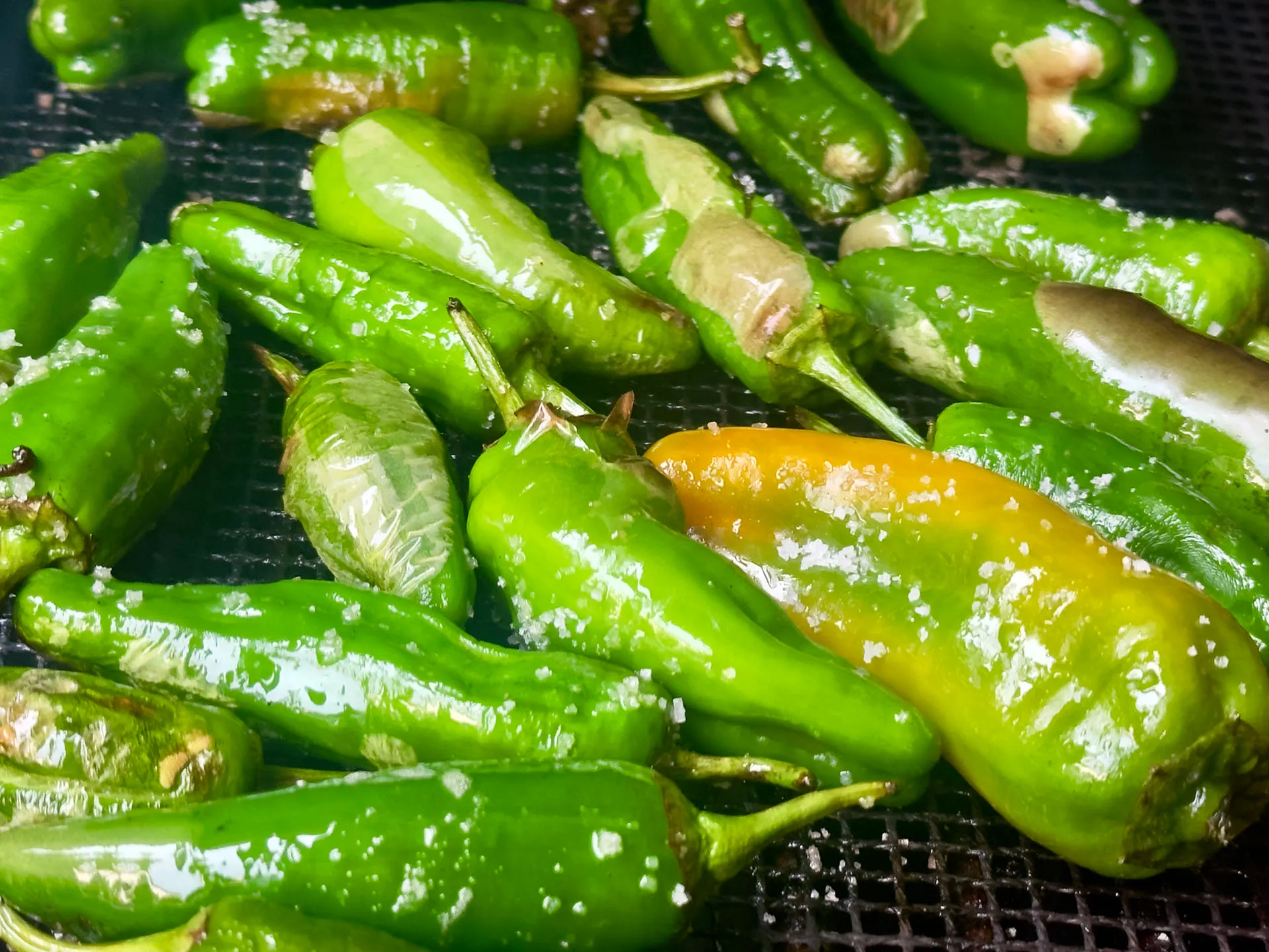 Pimientos de Padrón zubereiten: Grüne Bratpaprika auf dem Grillrost mit Blasen auf der Haut und grobem Meersalz bestreut.