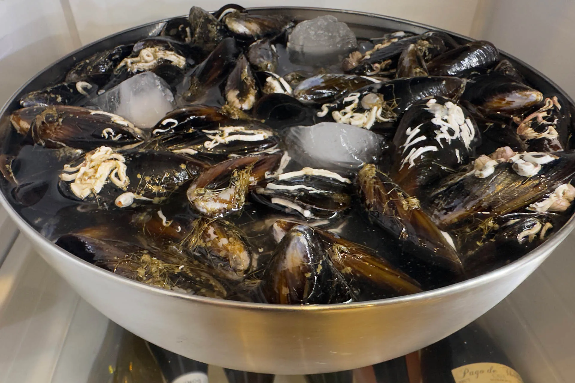 Frische Miesmuscheln in einer Edelstahlschüssel mit Eiswasser und Eiswürfeln