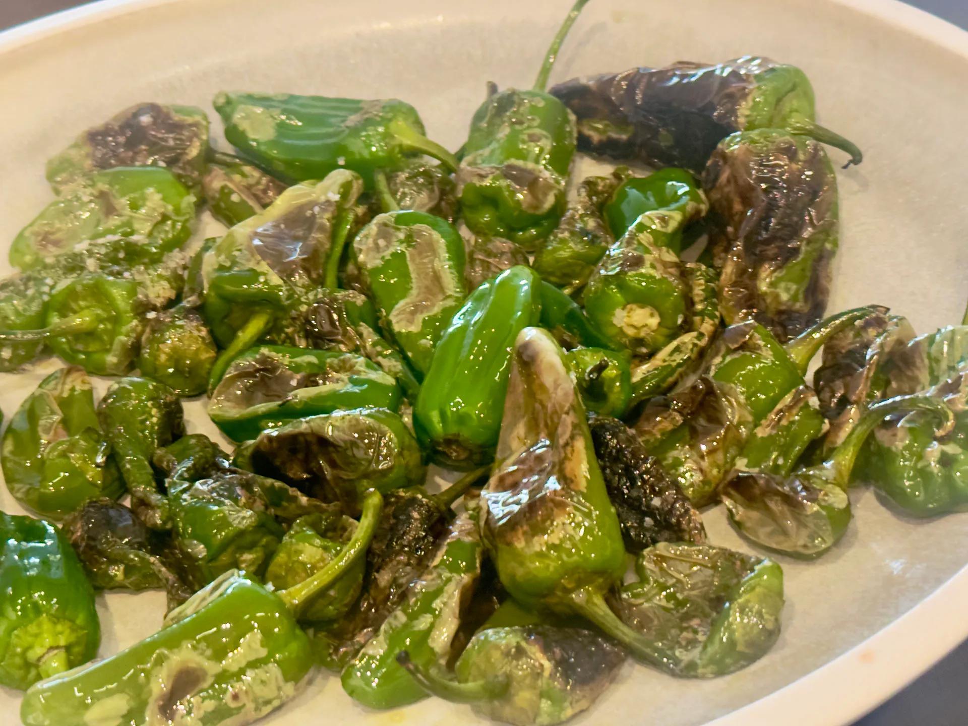 Gebratene Pimientos de Padrón auf dem Teller, spanische Tapas