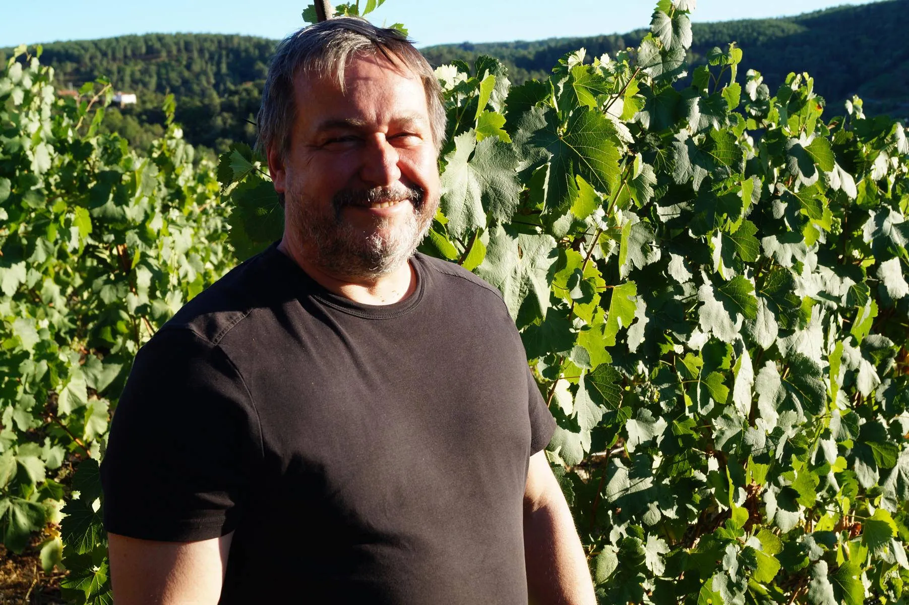 Carlos in seinem Weinberg