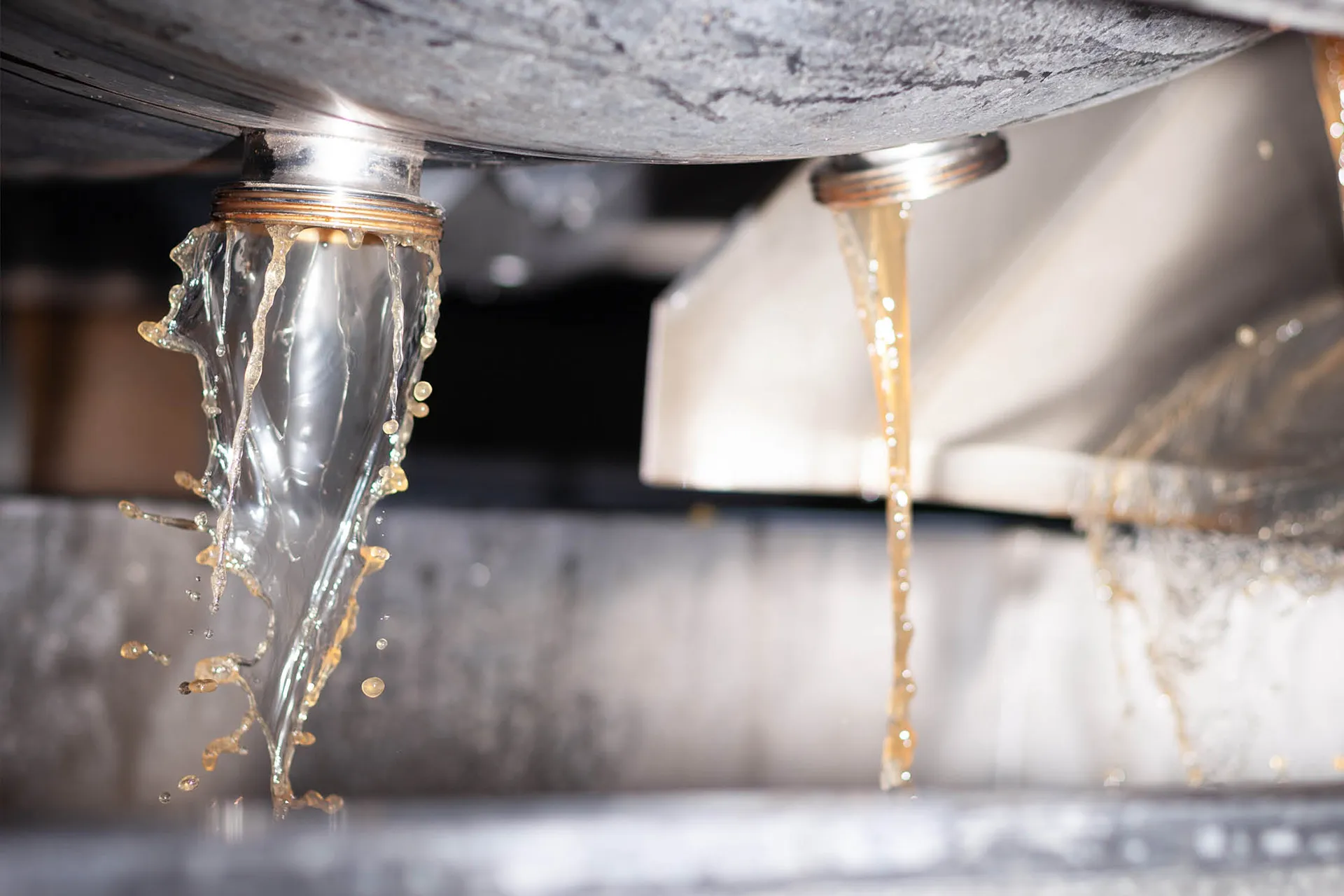 Wein läuft aus einem Fass