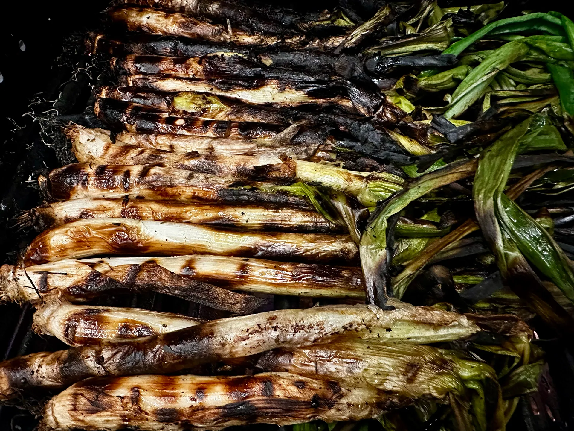 Calçots sehr stark gegrillt