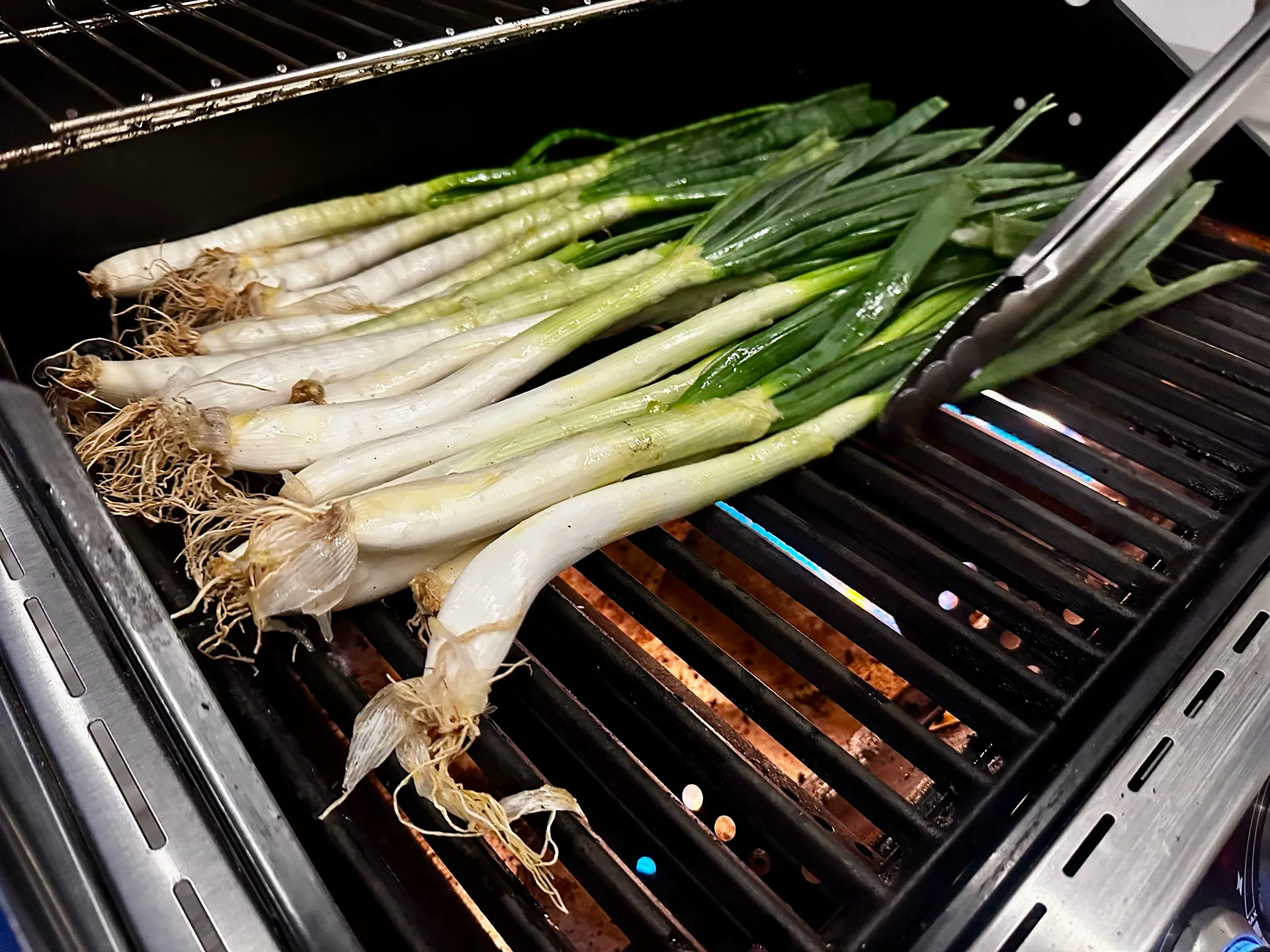 Calçots liegen nebeneinander auf dem Gasgrill