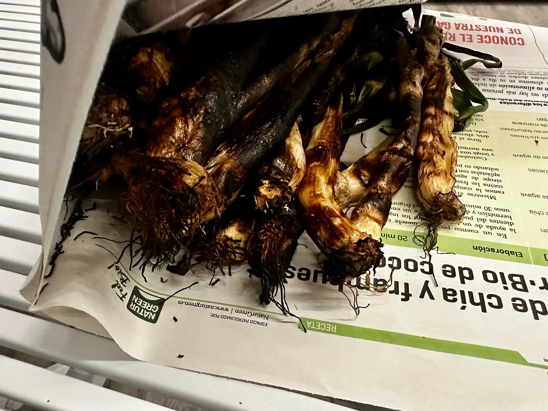 Calçots in Zeitungspapier eingewickelt