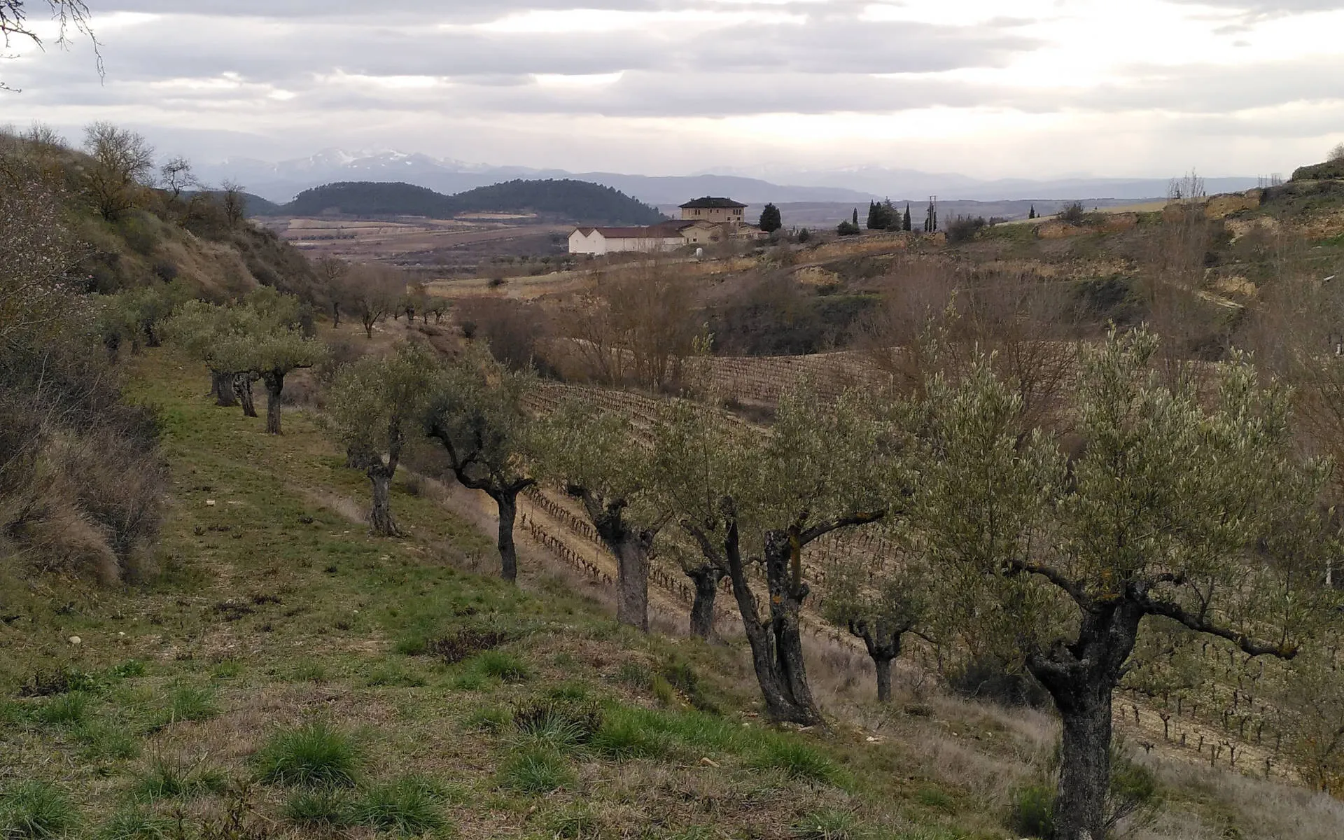 Landschaft bei San Vicente de la Sonsierra