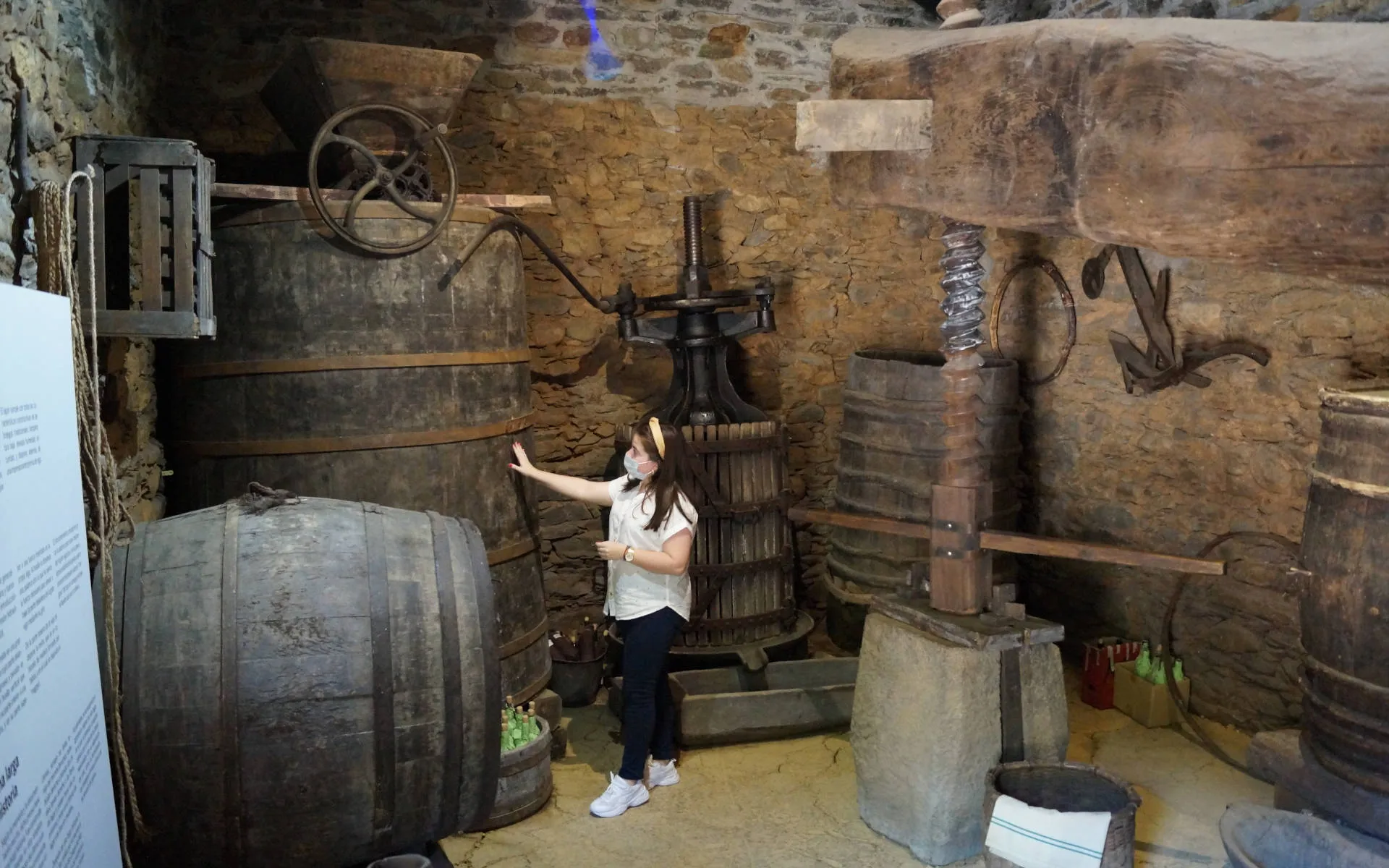 Führung im Weinmuseum in Cangas del Narcea