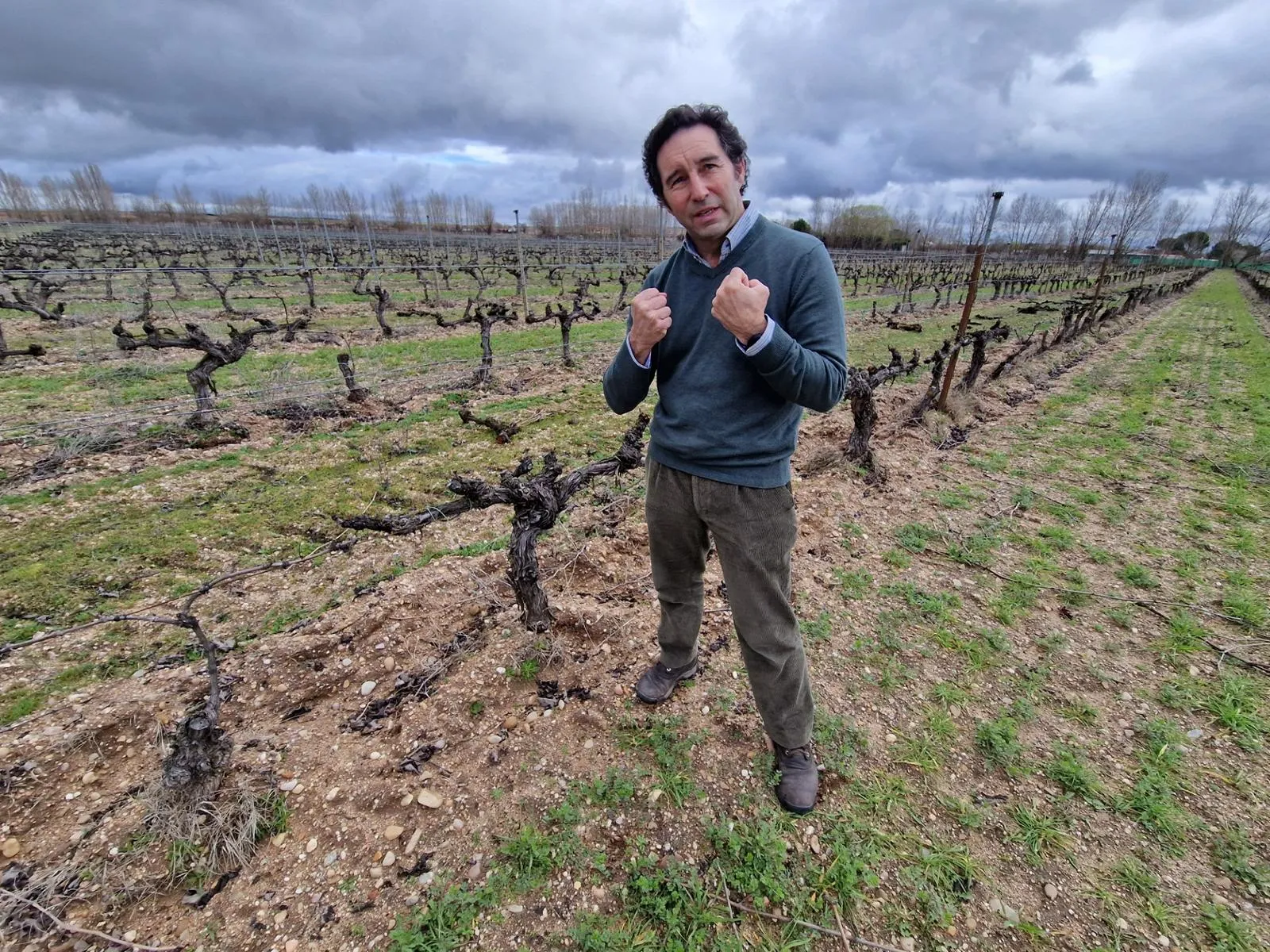 Ein Mann im Weinberg