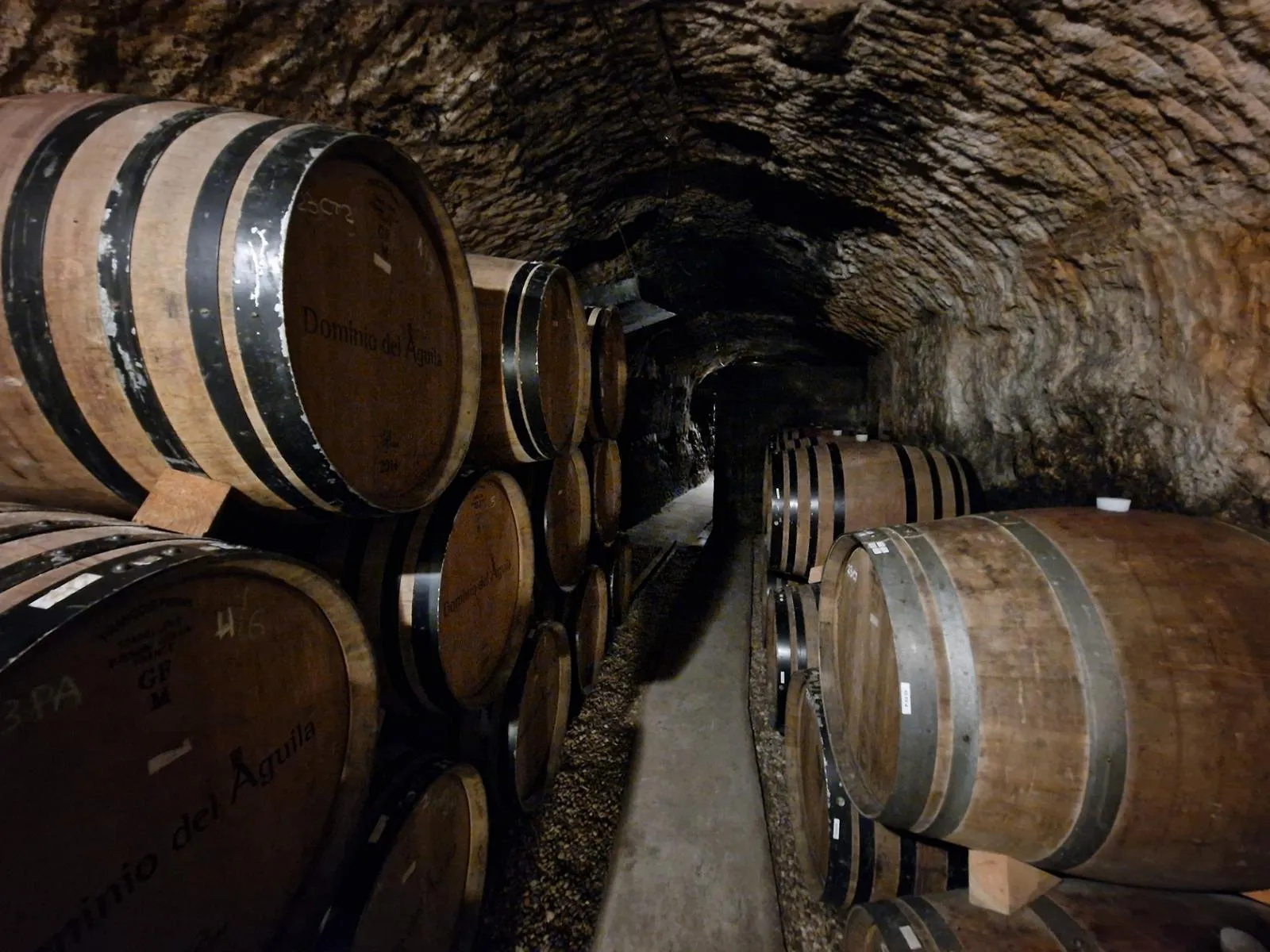 Weinfässer in einem schmalen Keller