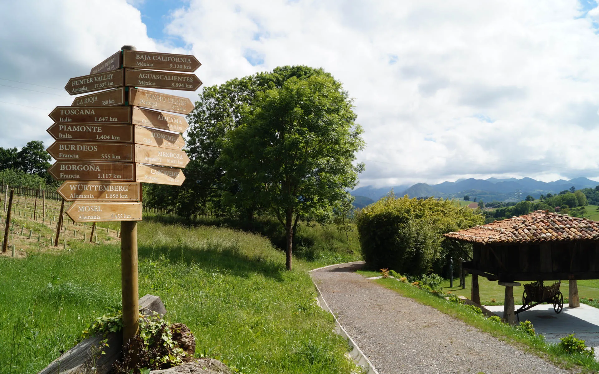Wein-Wegweiser Palacio de Nevares