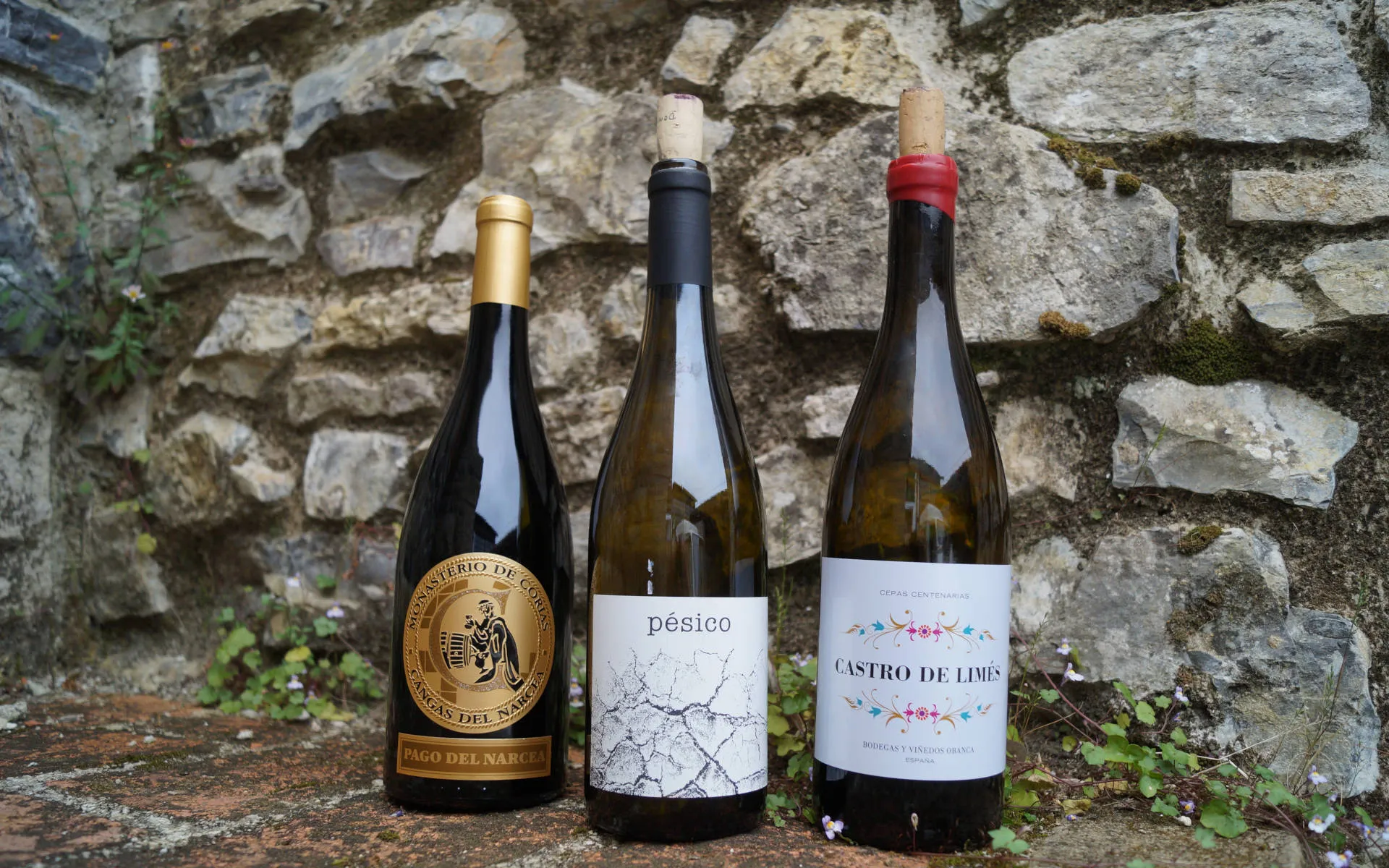 Drei Rotweine aus Asturien