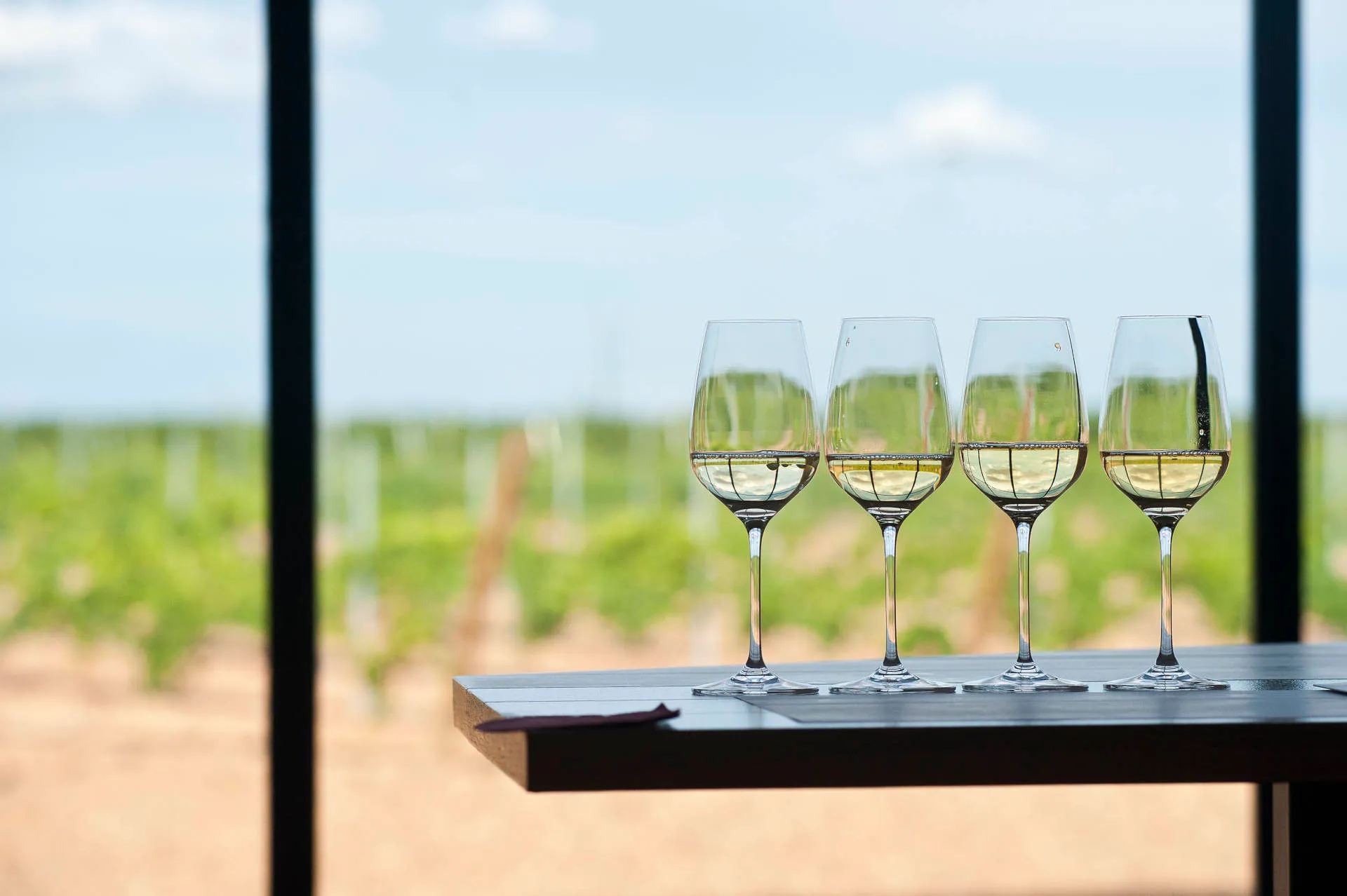 Gläser mit Weißwein auf einem Tisch