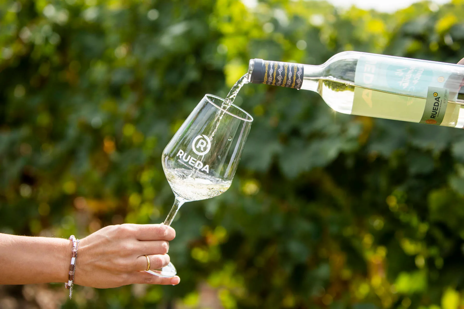 Wein wird in ein Glas eingeschenkt