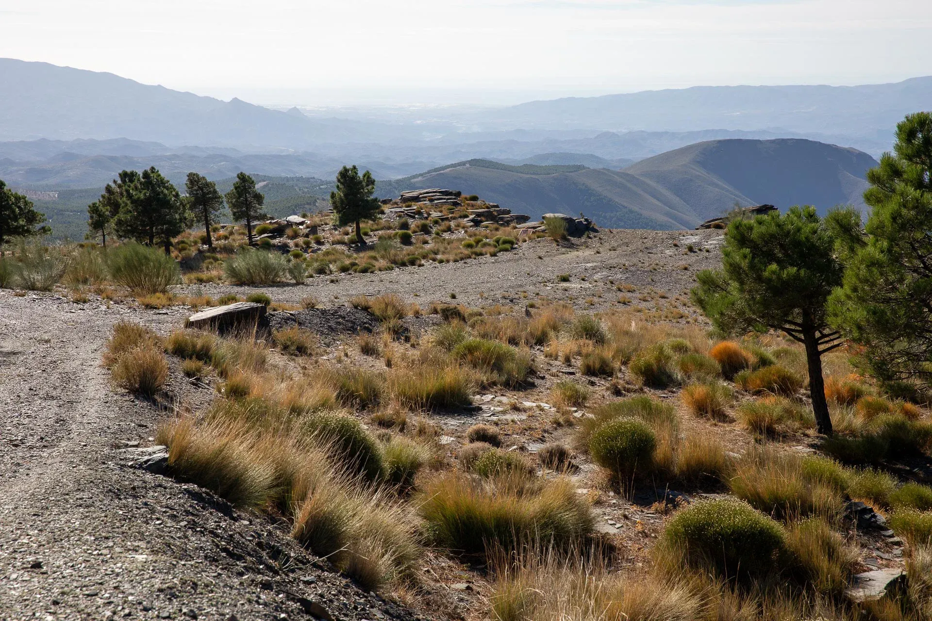 Ausblick auf die Wüste von Tabernas