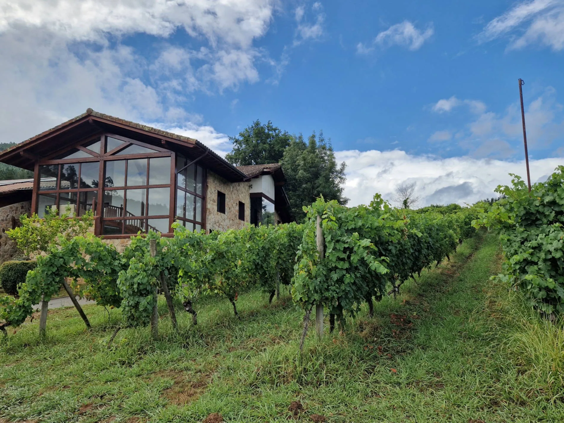 Ein Haus, daneben Weinreben