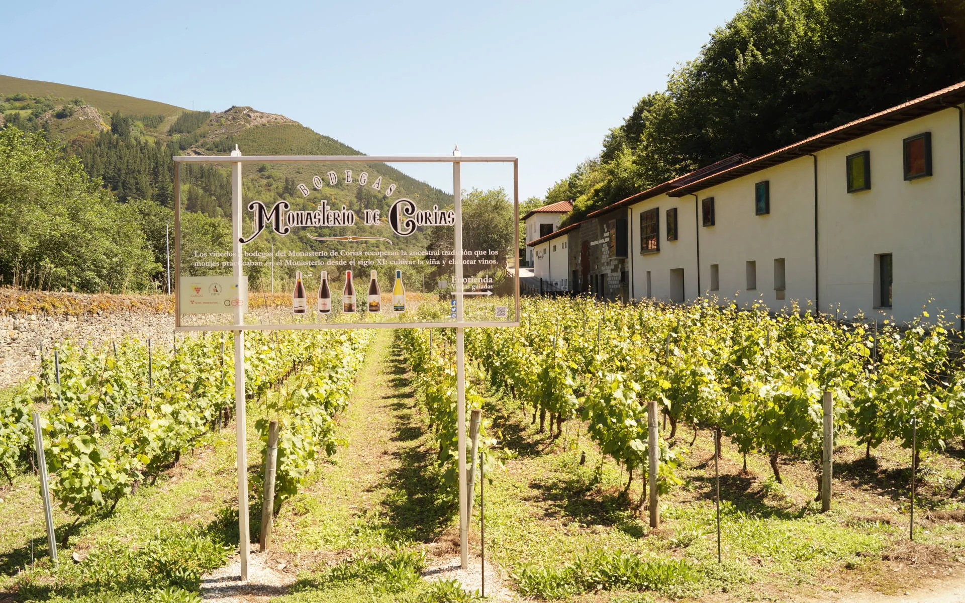 Bodega Monasterio de Corias