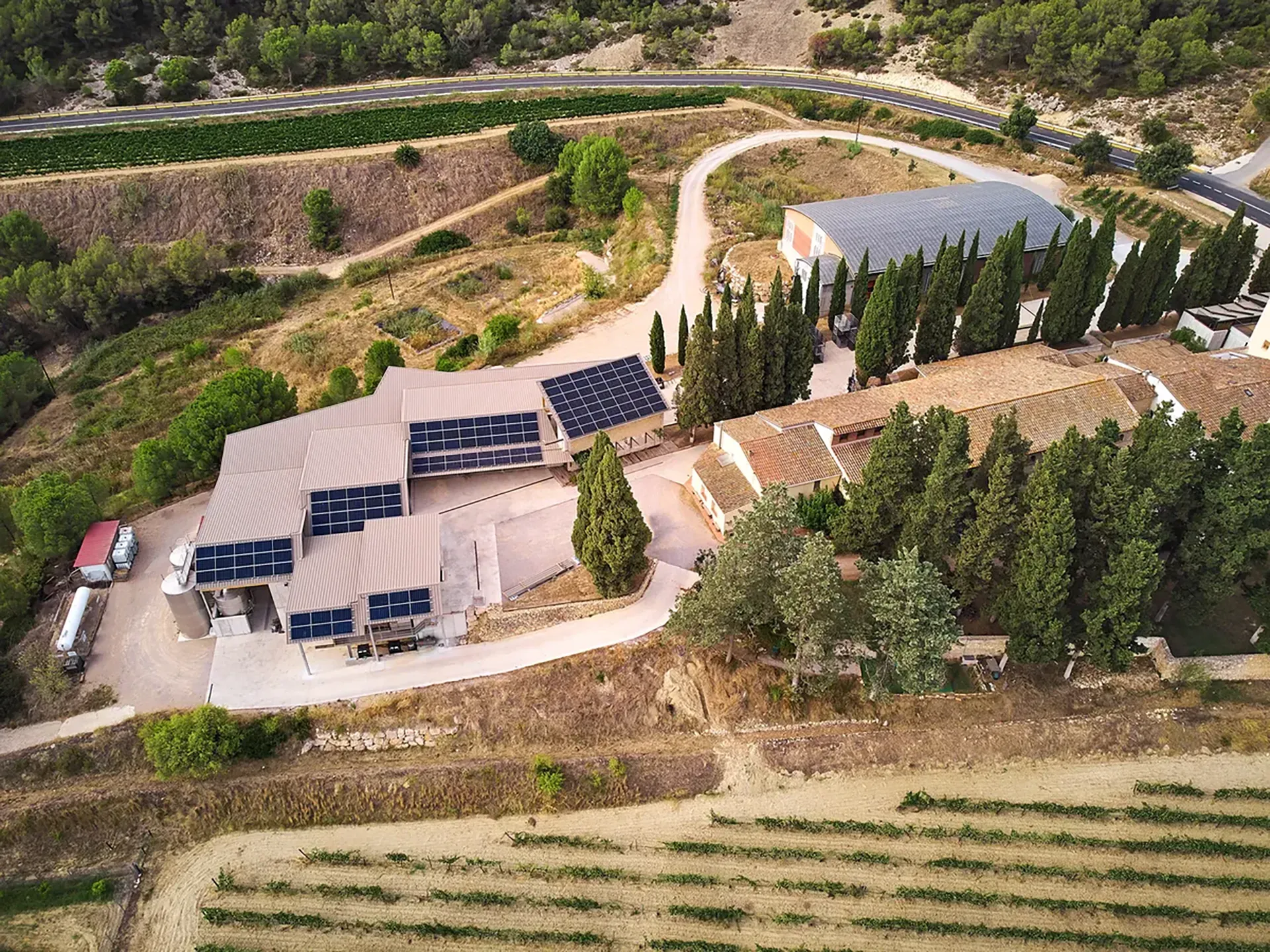 Man sieht ein Weingut von oben auf dessen Dächern überall Solarpanels sind
