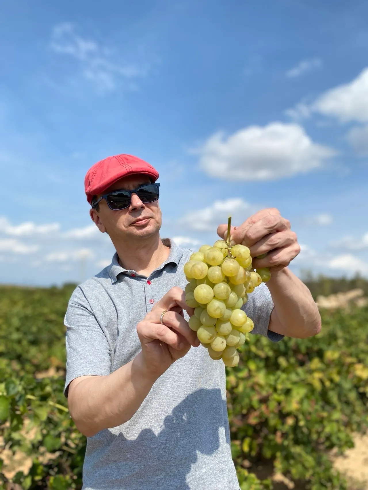 Trauben halten kann er auch