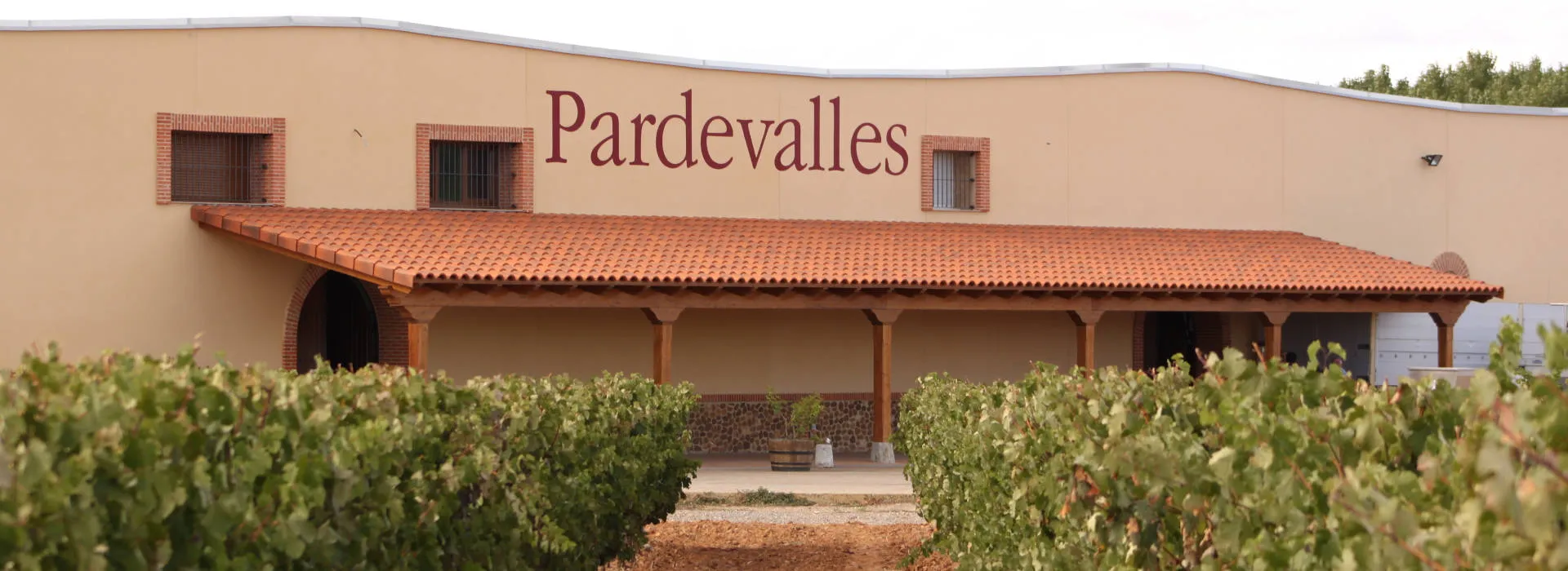 Ein Weingut mit einigen Rebzeilen im Vordergrund