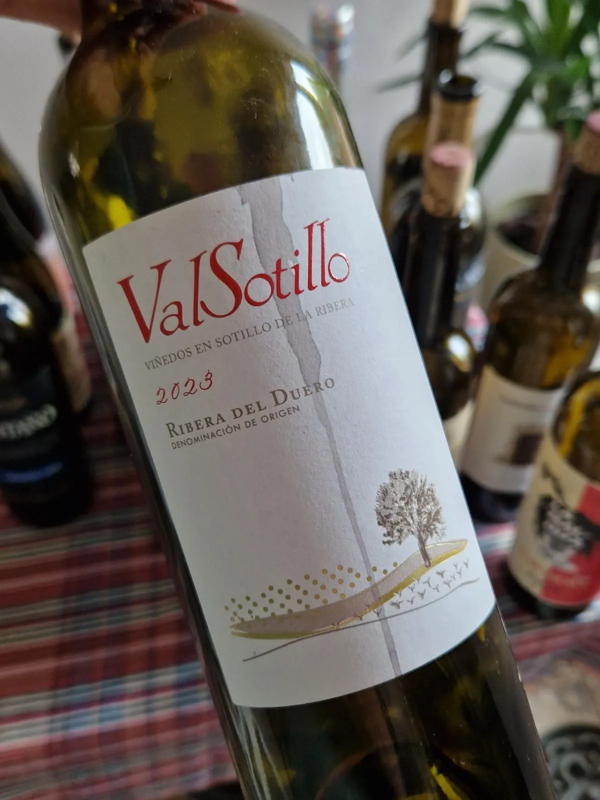 eine Flasche spanischer Rotwein