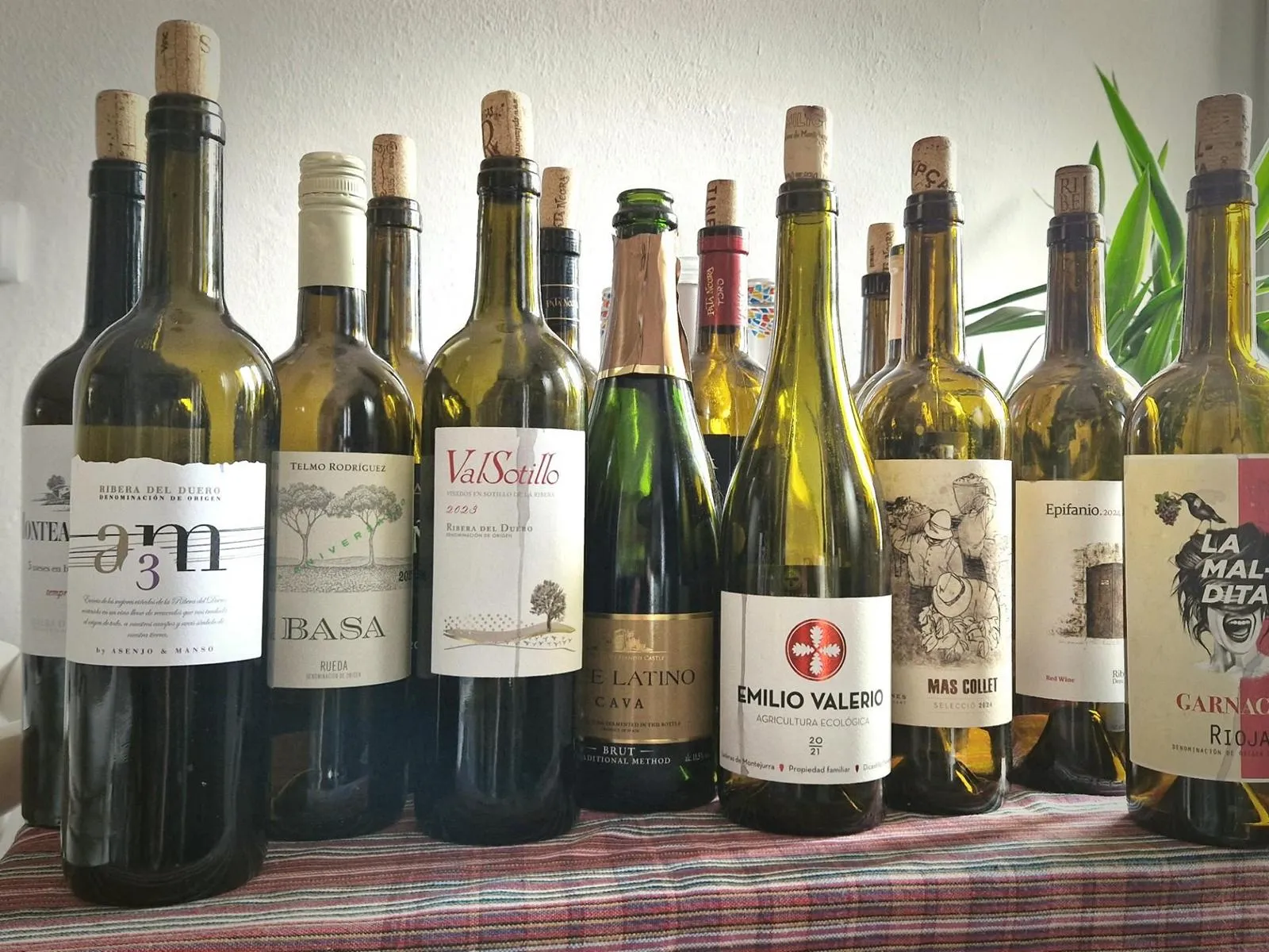 Günstige Weine aus Spanien: 10 Empfehlungen bis 10 Euro
