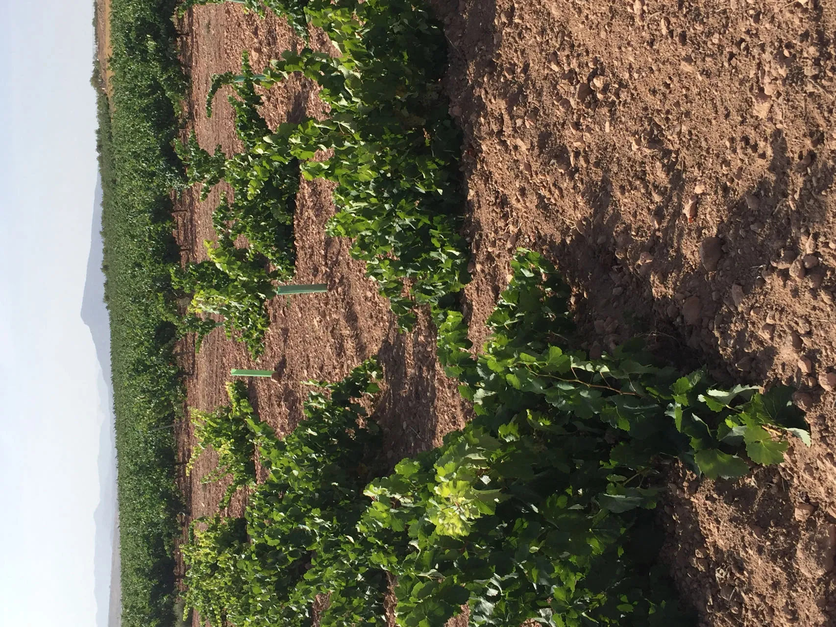 strecken oder kriechen