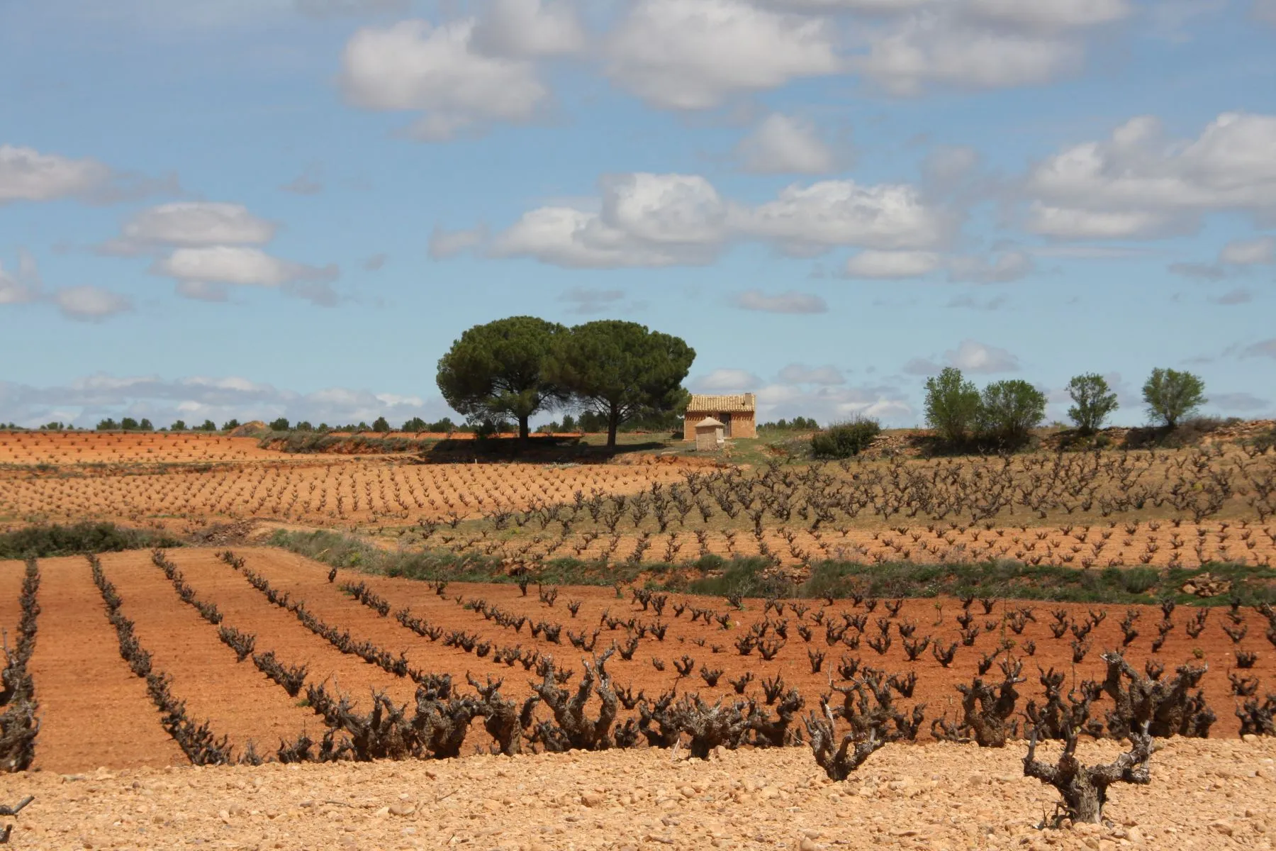 La Mancha Fläche