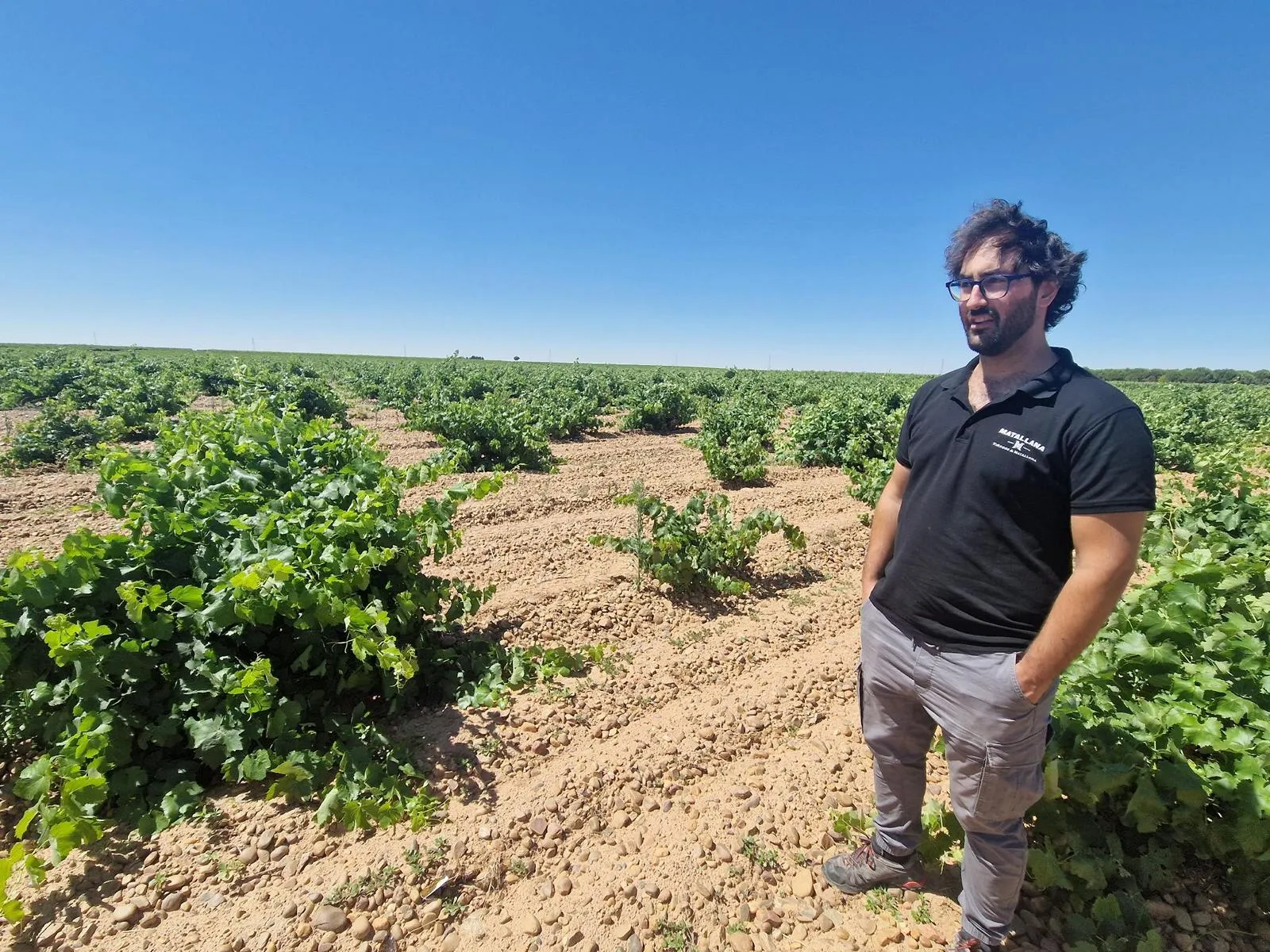 Ein Mann steht in einem Weinberg mit den Händen in den Hosentaschen