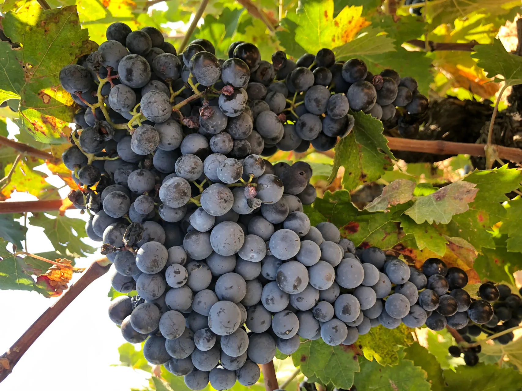 da hängt ordentlich Material