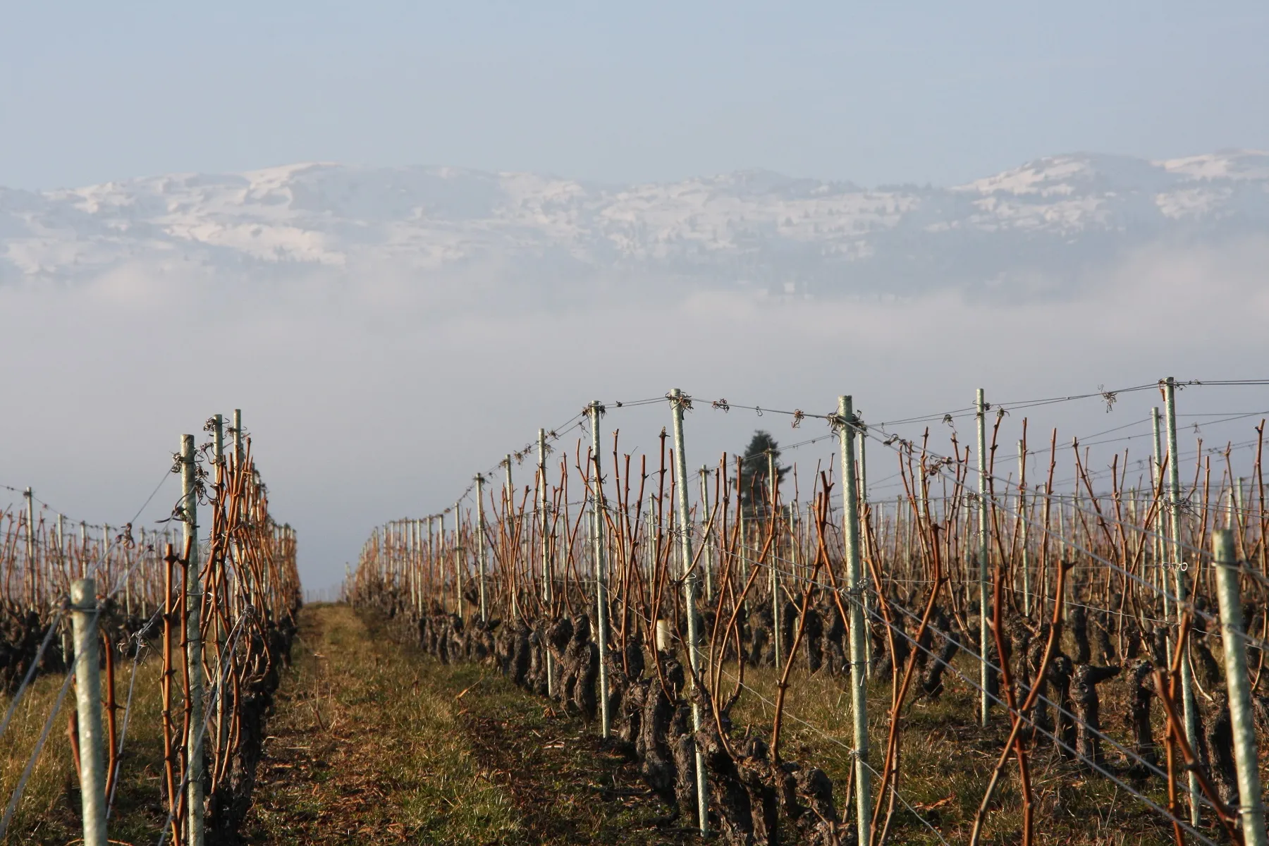 Auch in Spanien wird es kalt