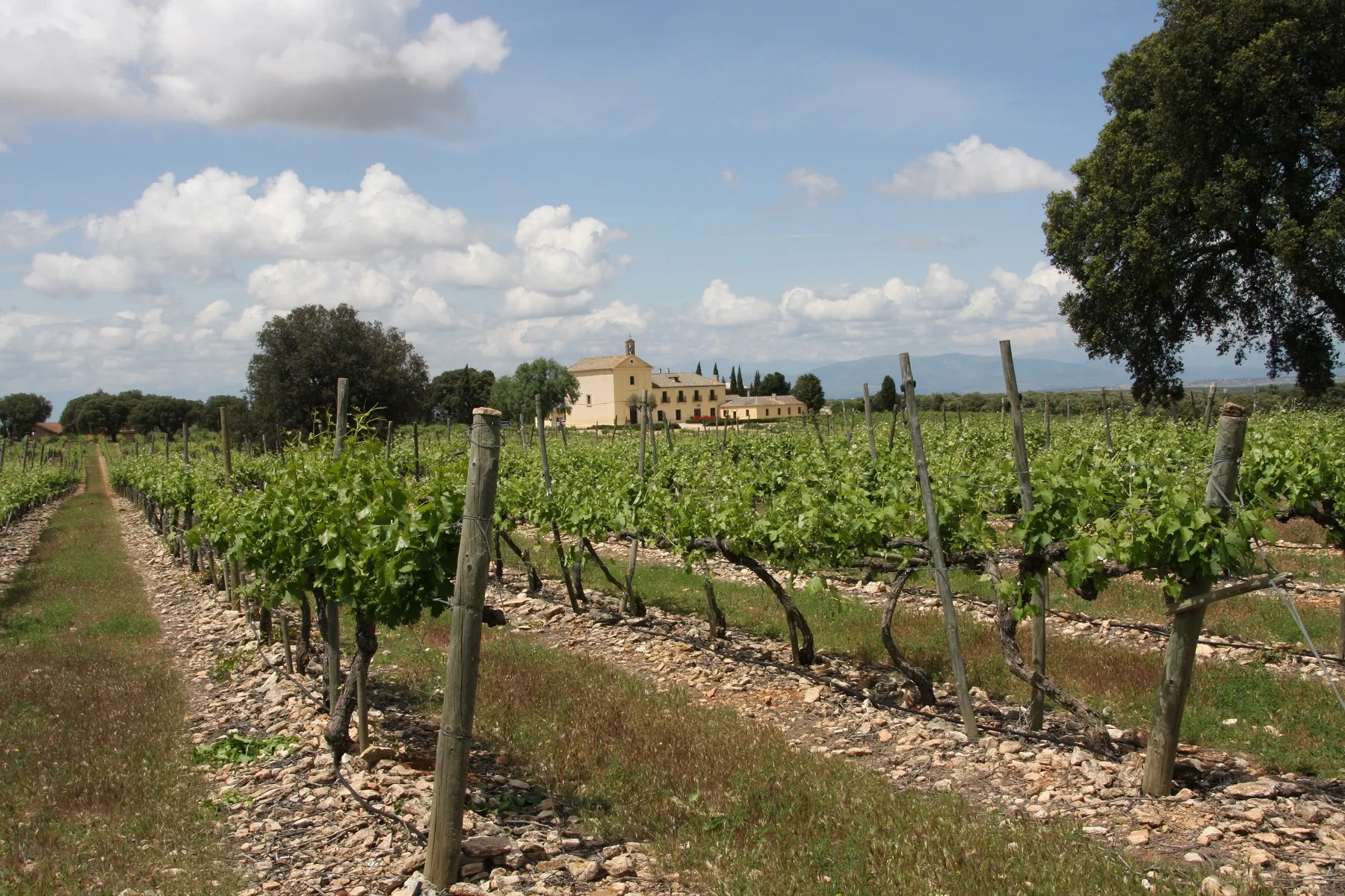 Dominio de Valdepusa