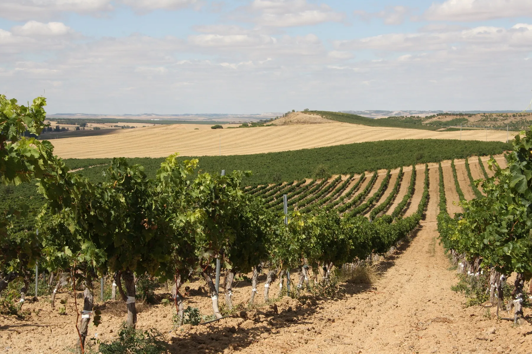 Die Dünen von Rueda