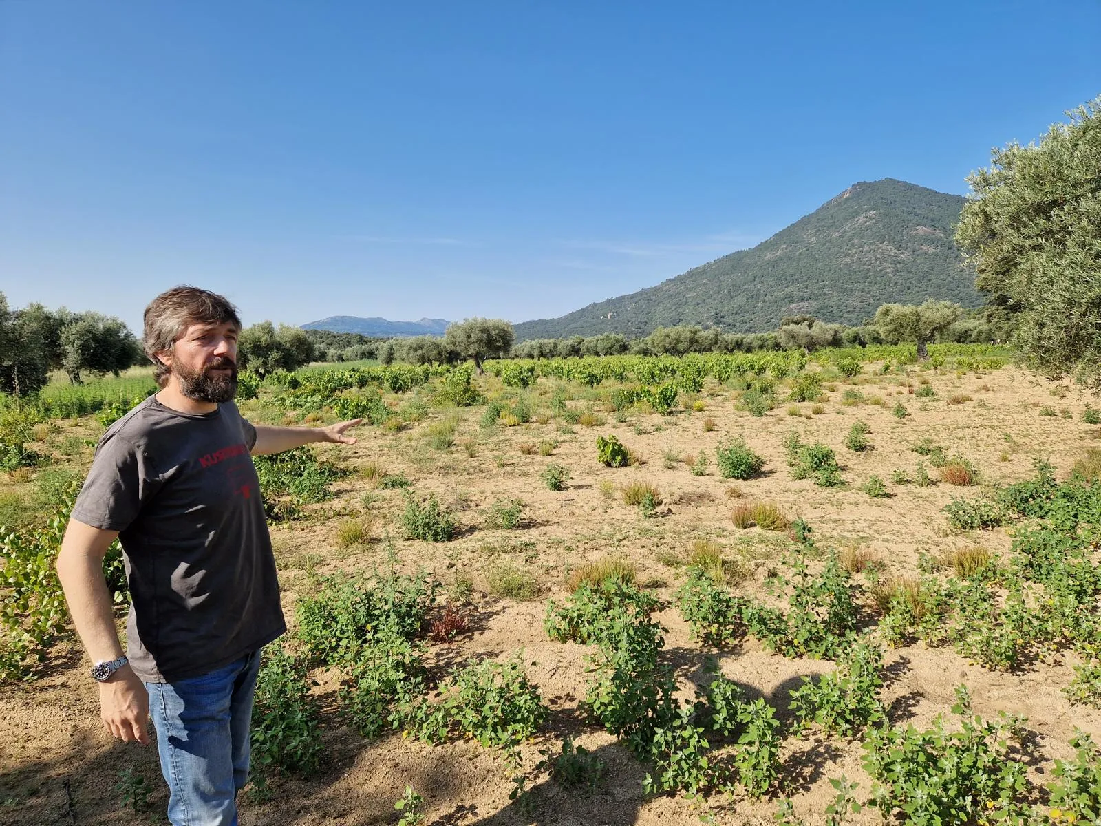 Bodega Bernabeleva Juan Diez Bulnes