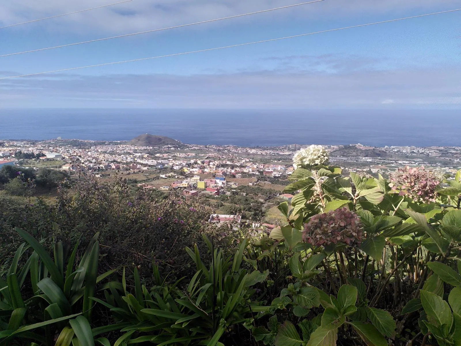 Auf Teneriffa gibt es Weine von höchster Qualität.