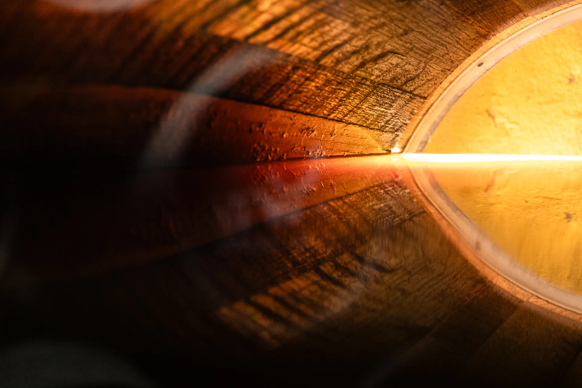 Hefeflor im Inneren eines Sherry Fasses