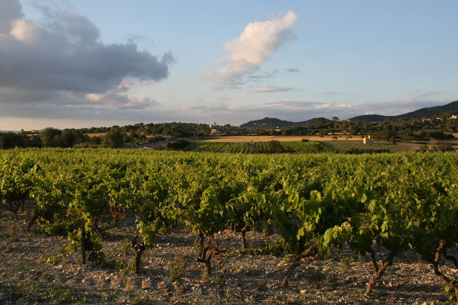 Basis für Flüssiges