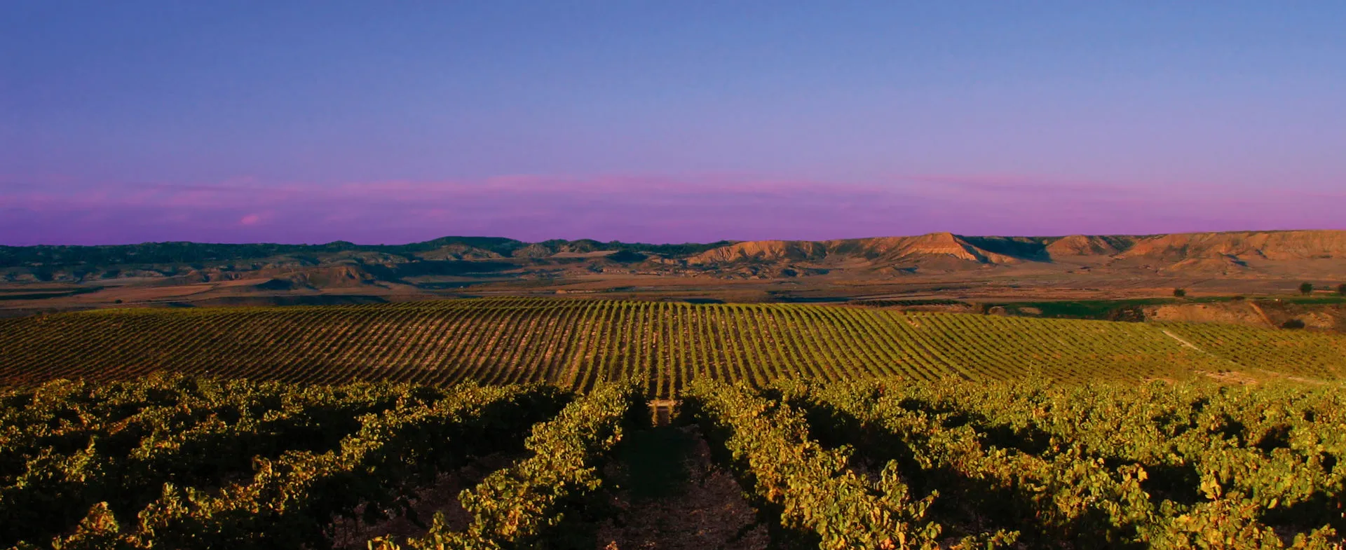 Bodega Pompaelo Wines
