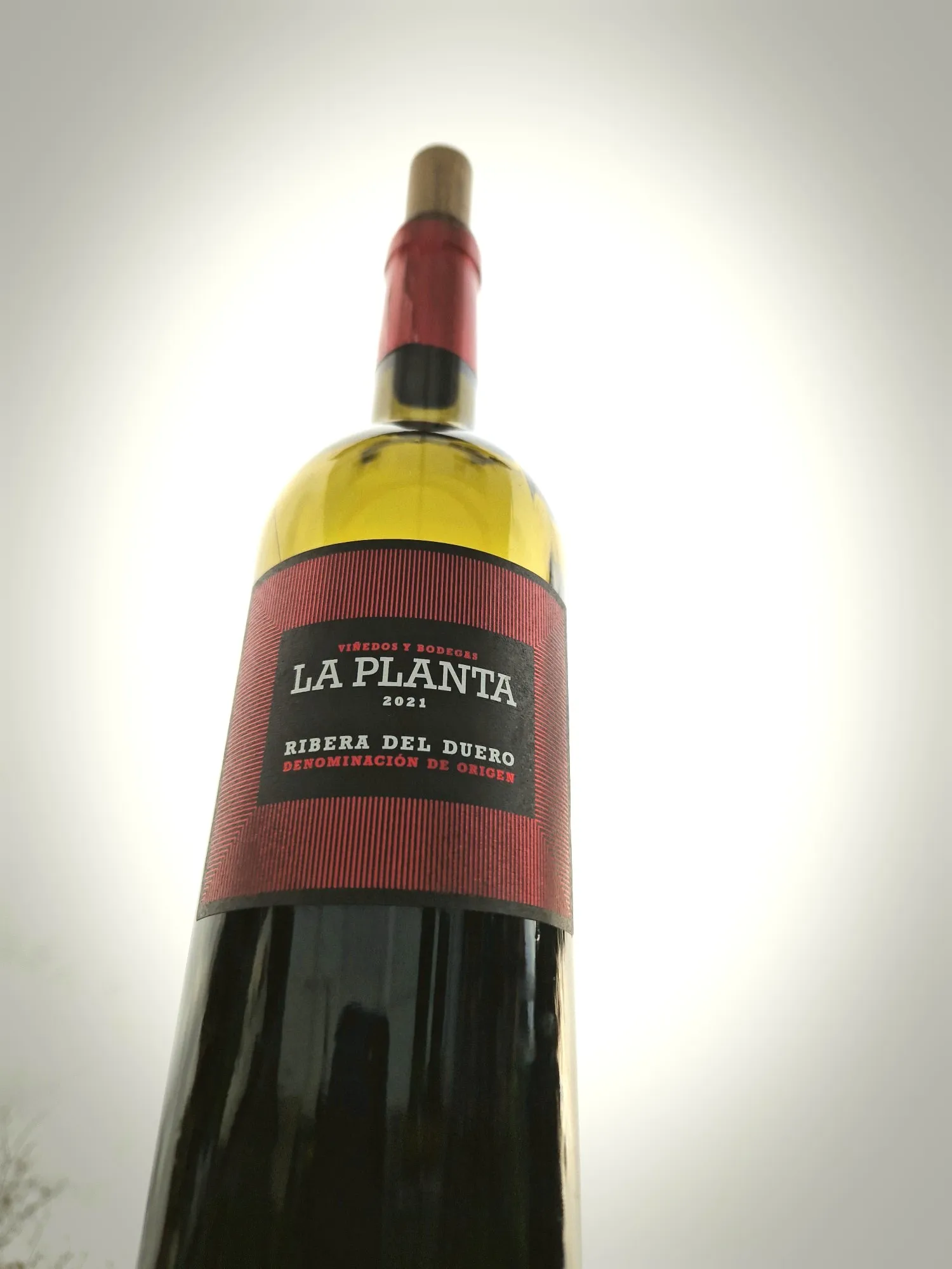 Ribera del Duero Tempranillo