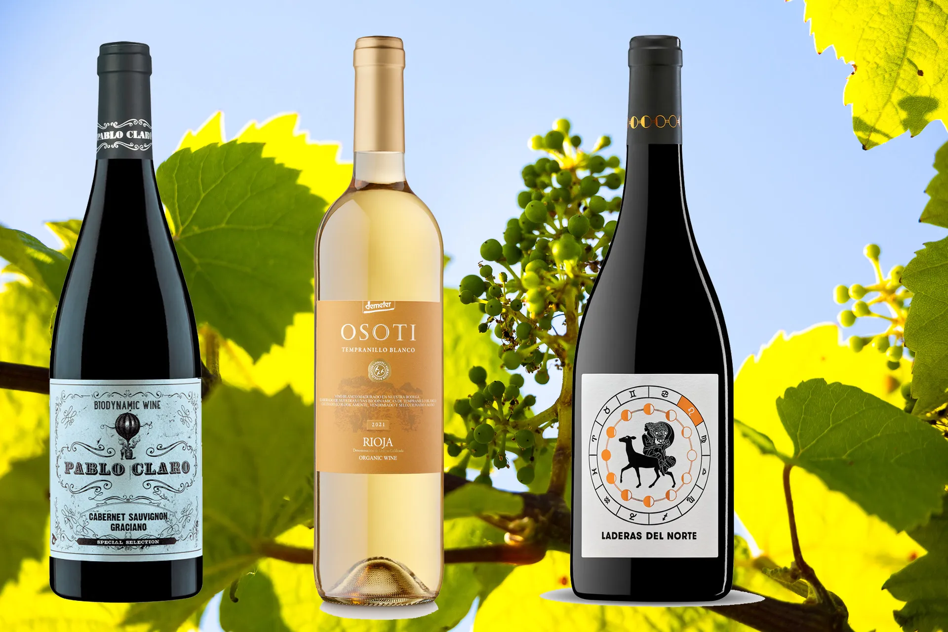 Collage Weinflaschen der Gran Gold Gewinner OWAI 2023