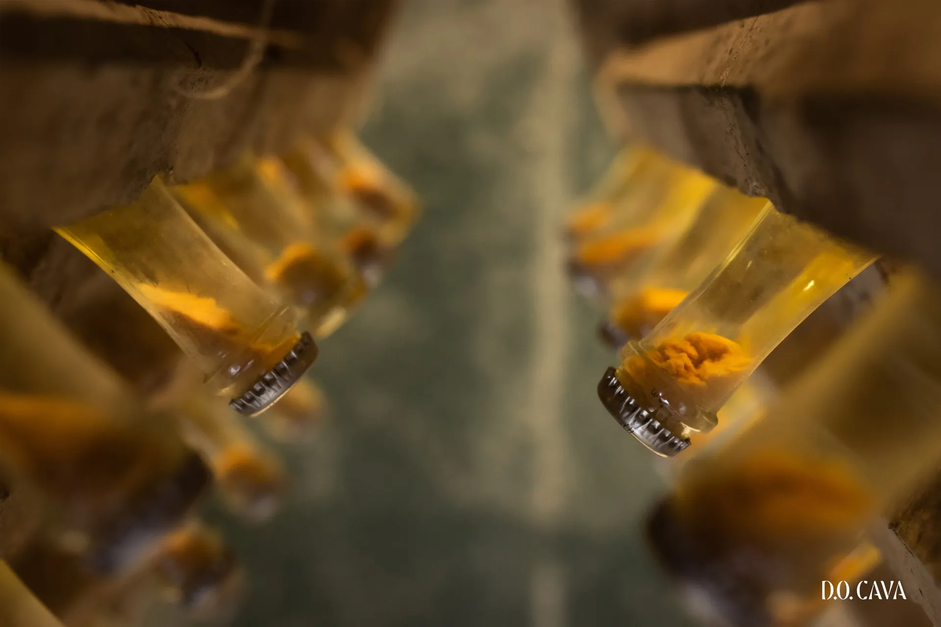 Hefelager in der Cava-Flasche