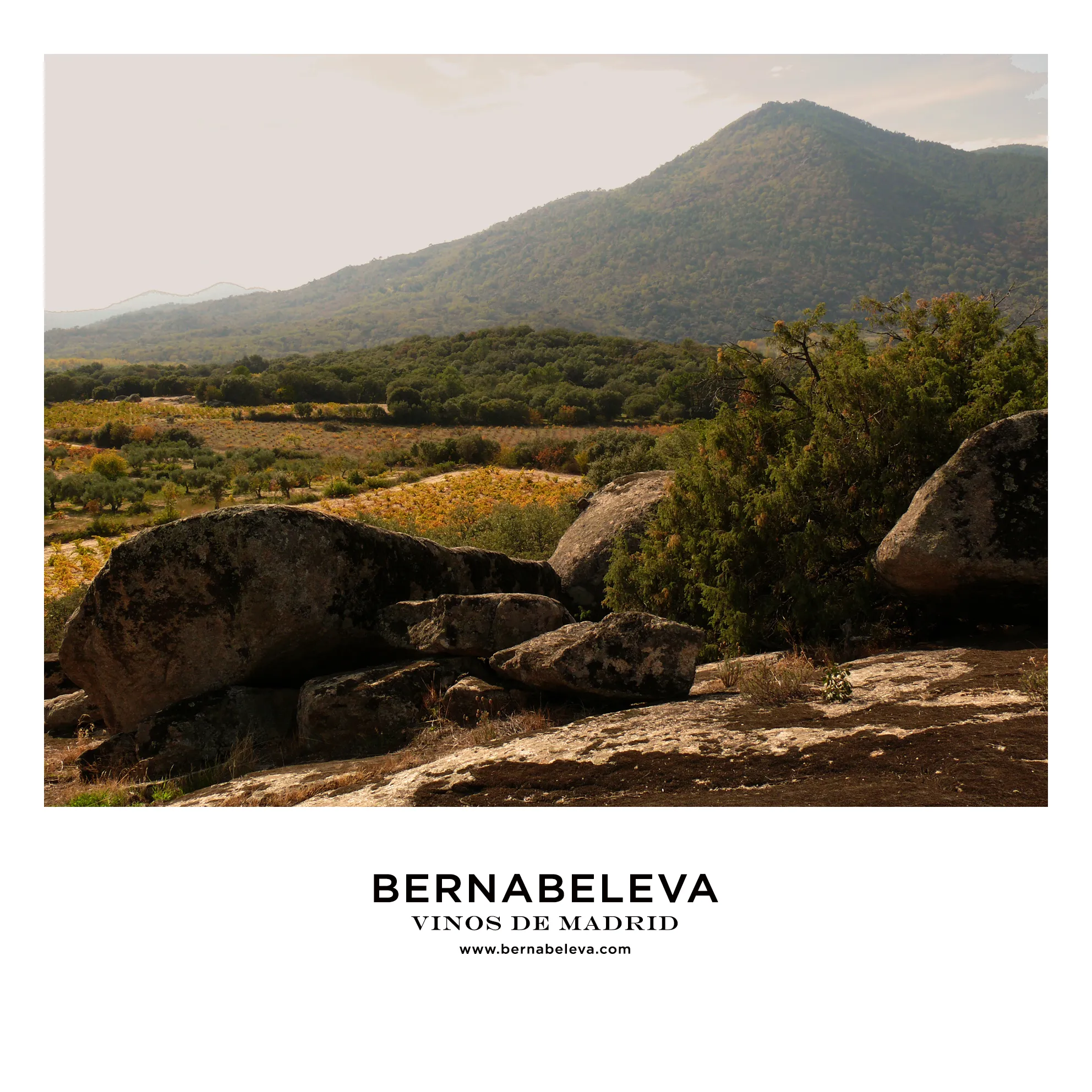 Navaherreros desde el Manchomuelas, con Gredos de fondo
