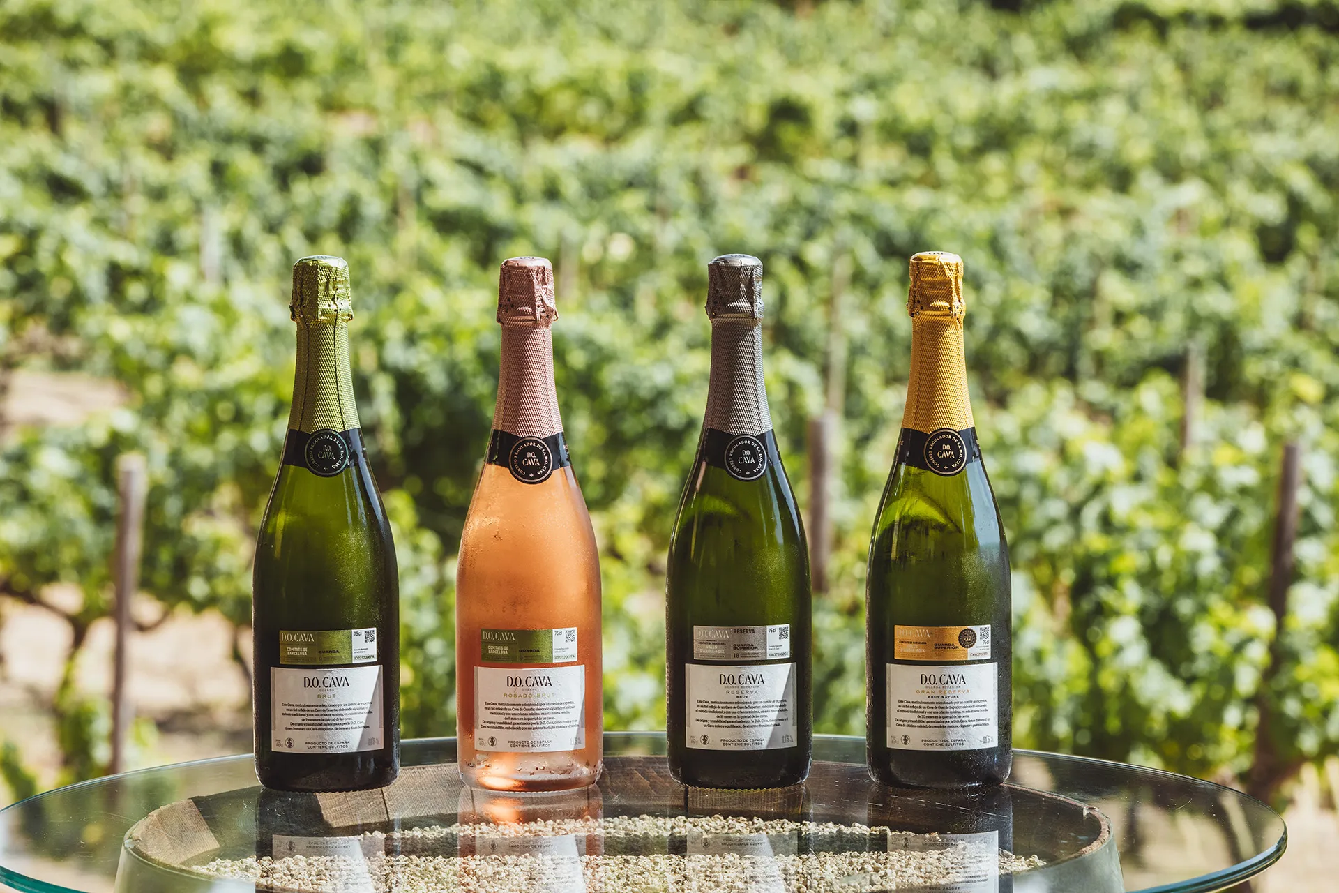 neue Etiketten für Qualitätsstufe Cava